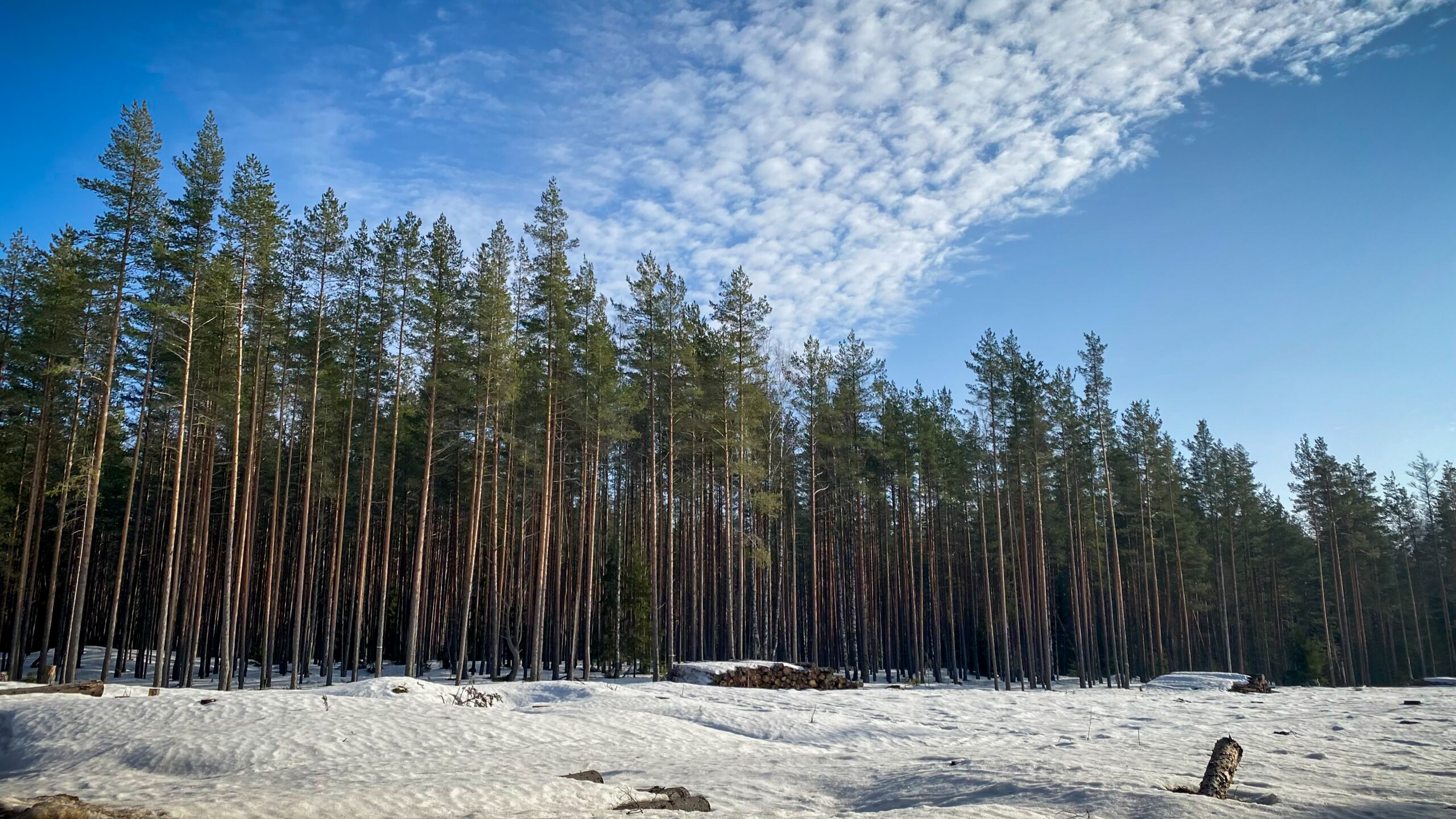 Фотография объекта