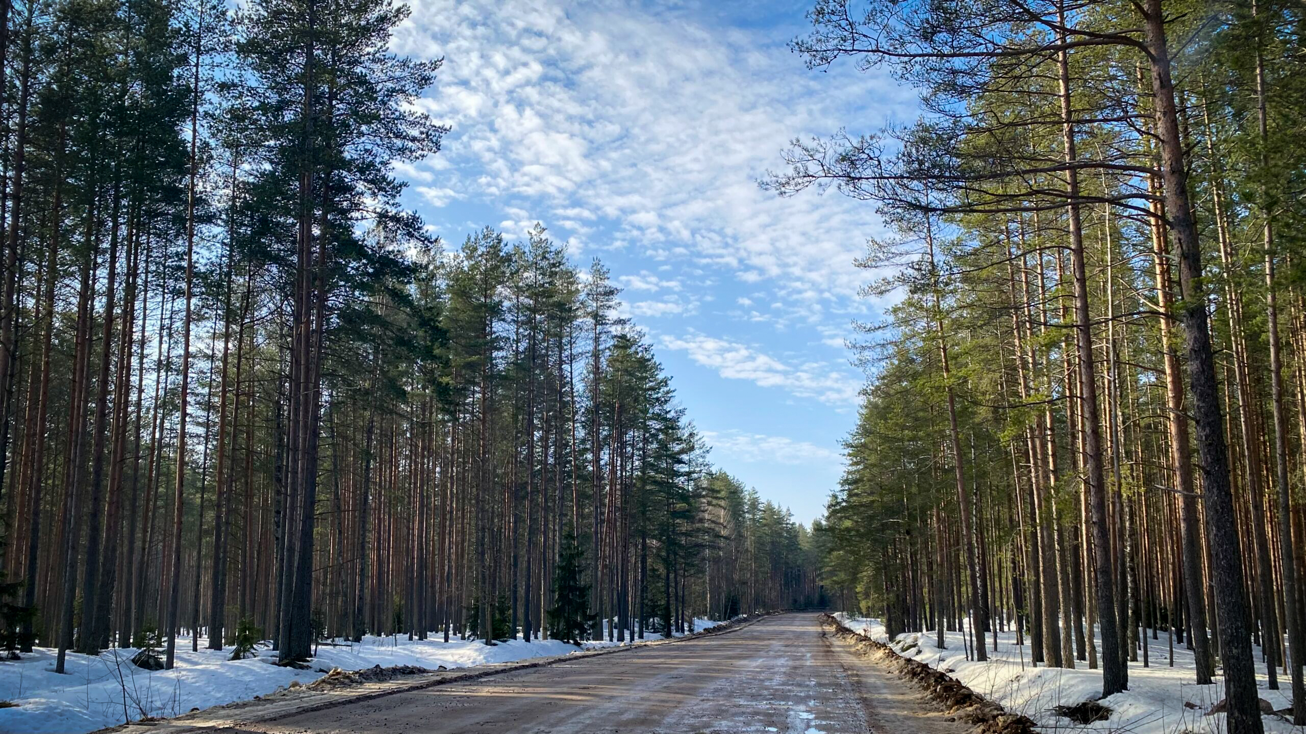 Фотография объекта