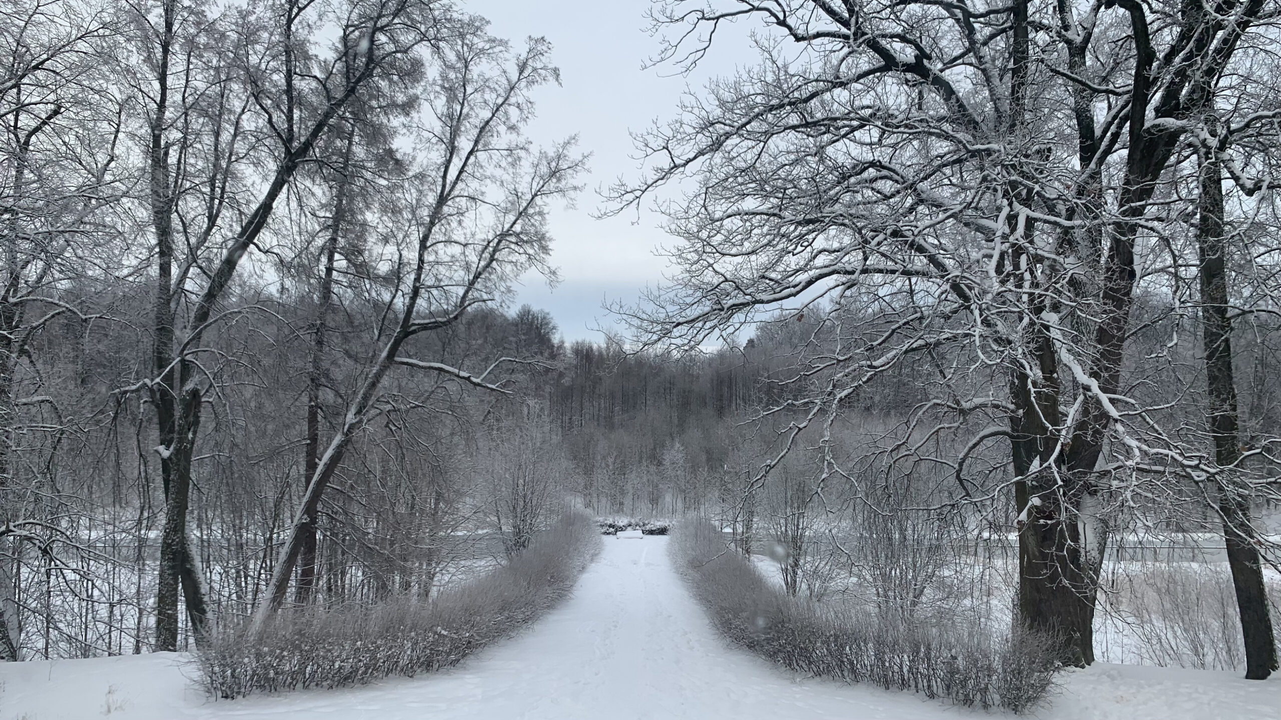 Фотография объекта