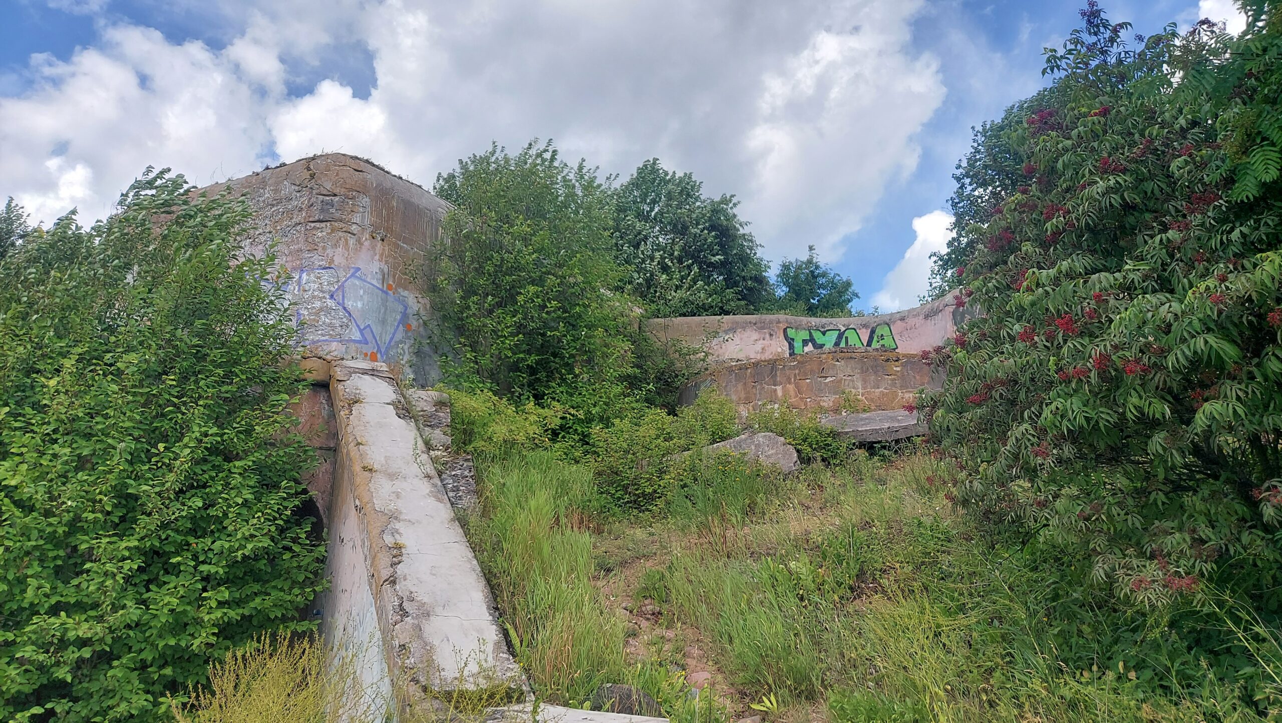 Фотография объекта