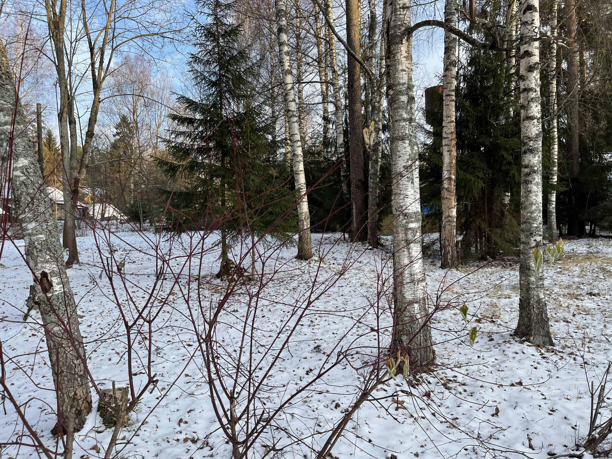 Фотография объекта