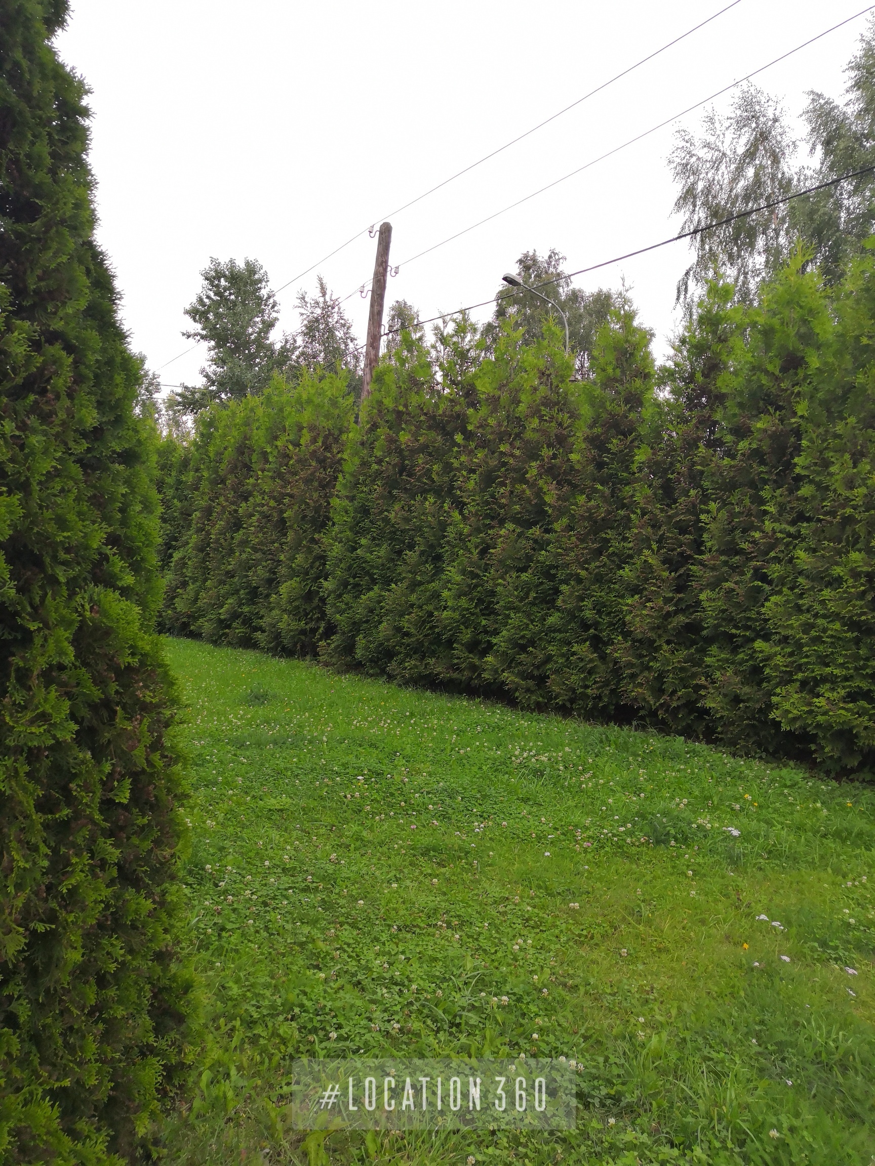 Фотография объекта