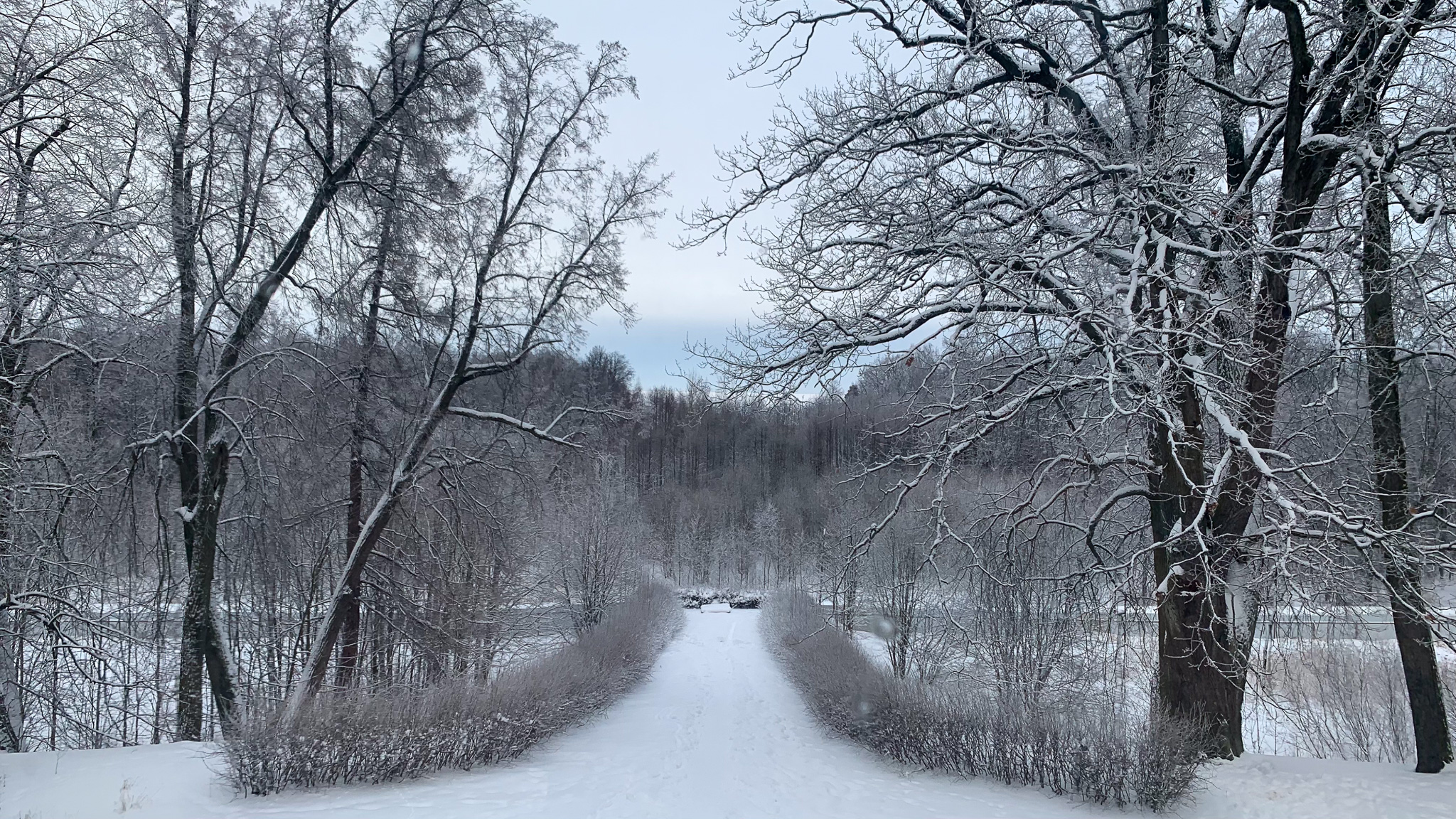 Фотография объекта