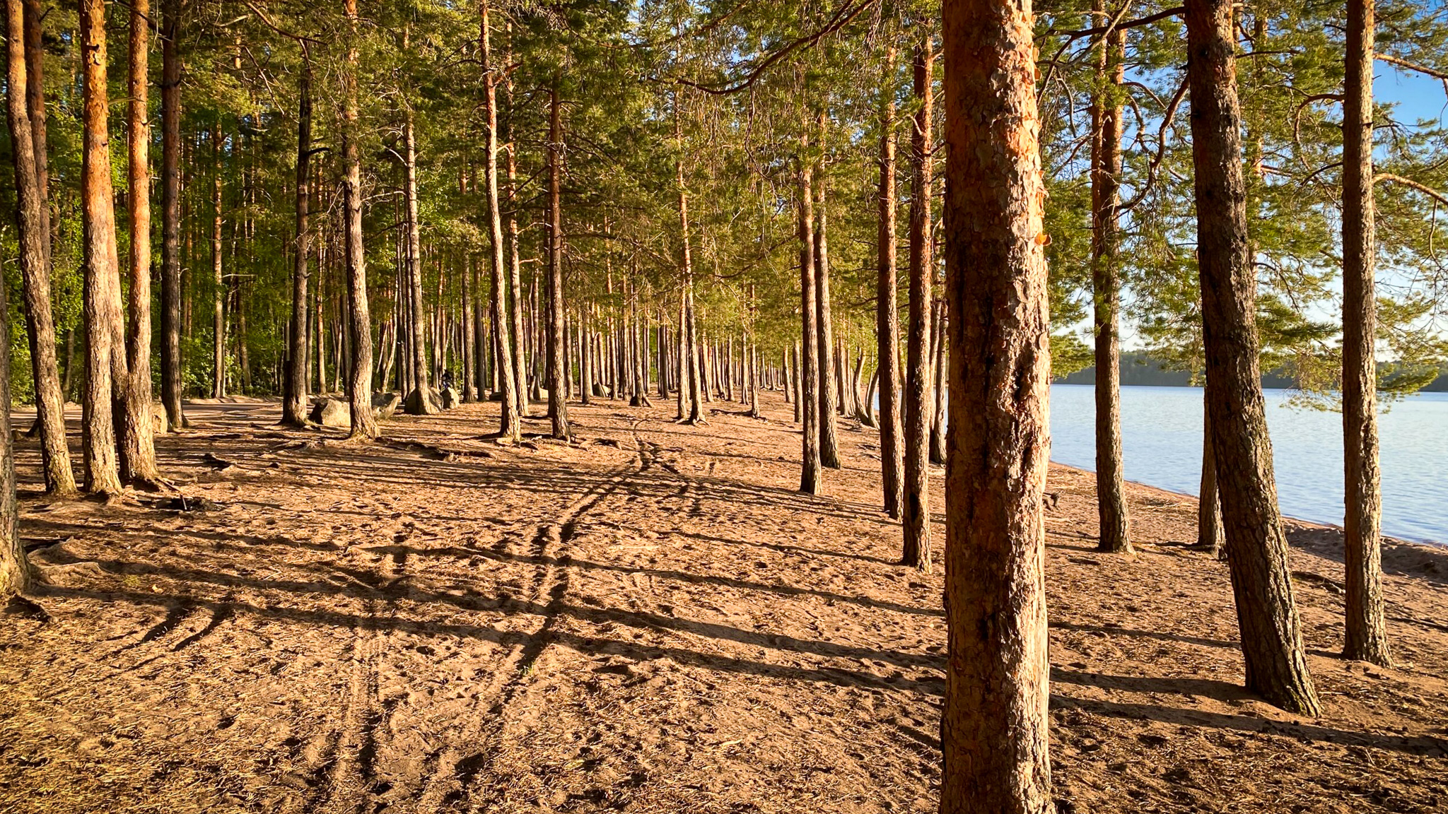 Фотография объекта