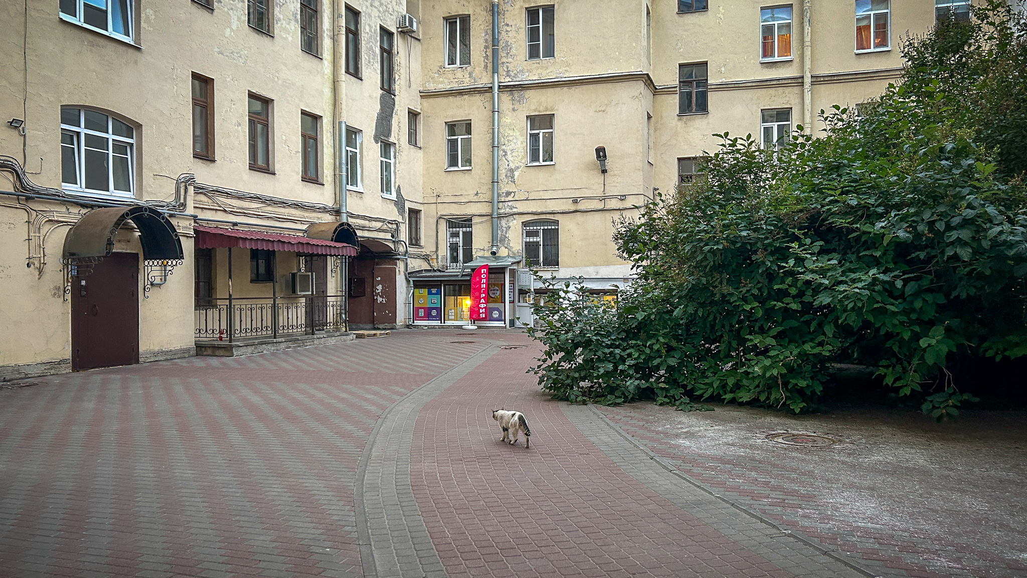 Фотография объекта