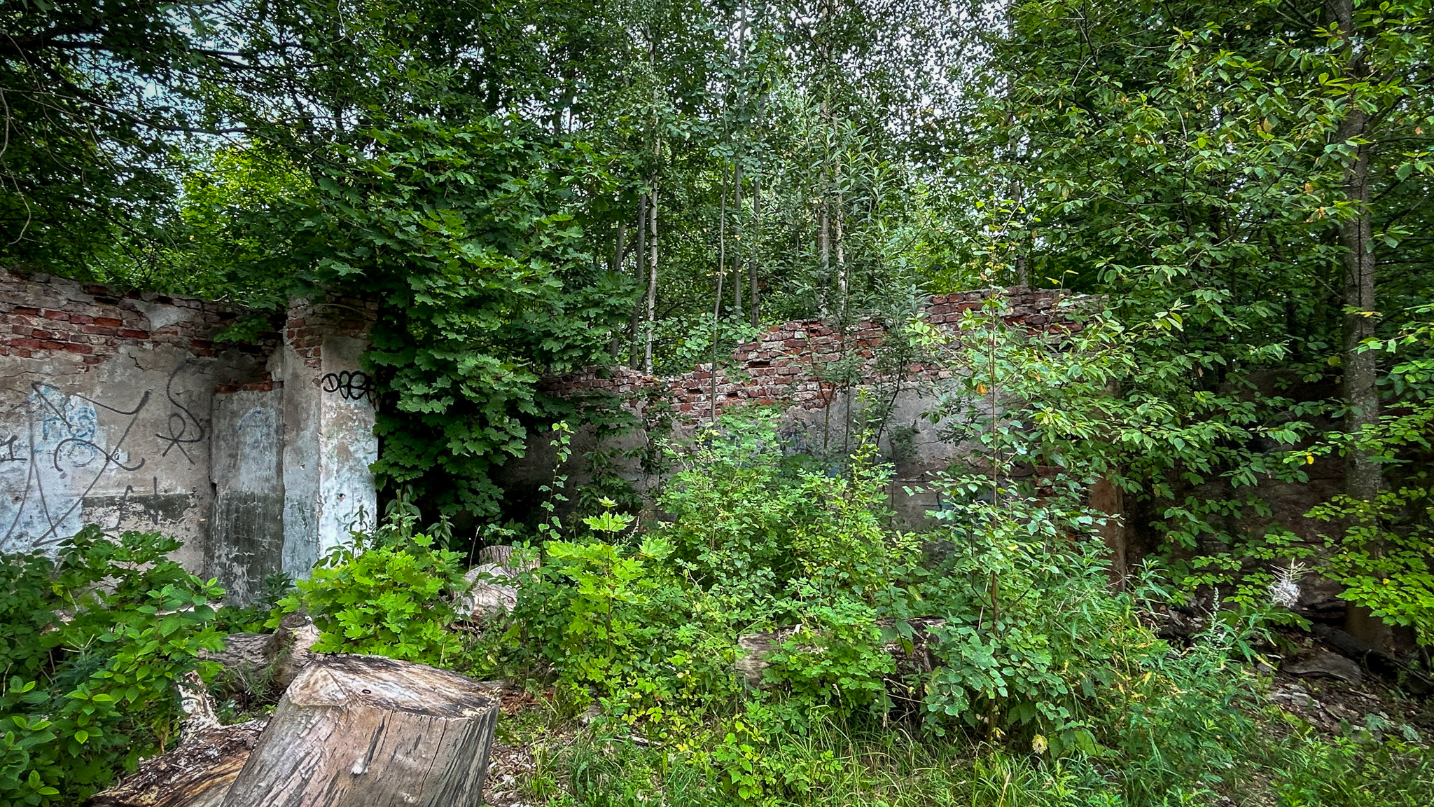 Фотография объекта