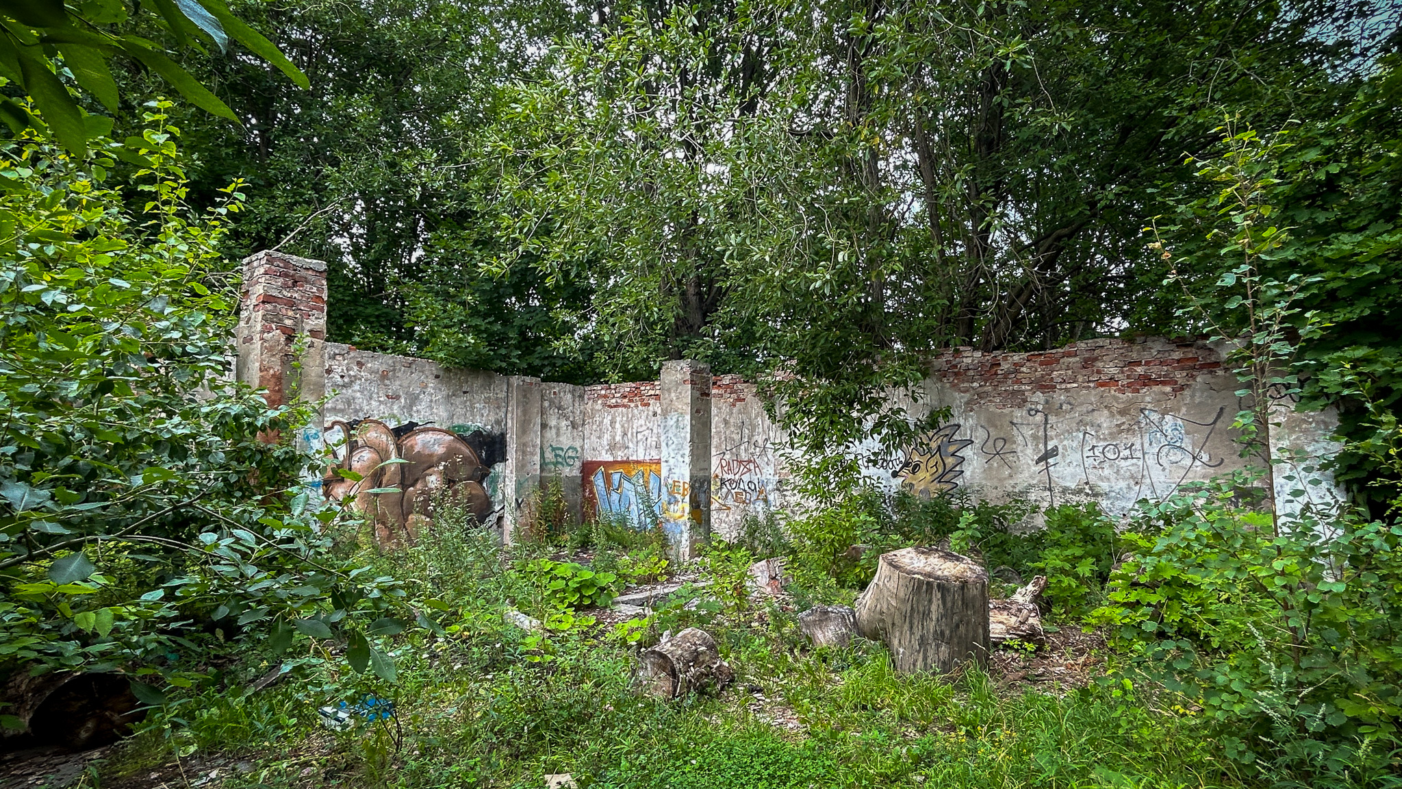 Фотография объекта