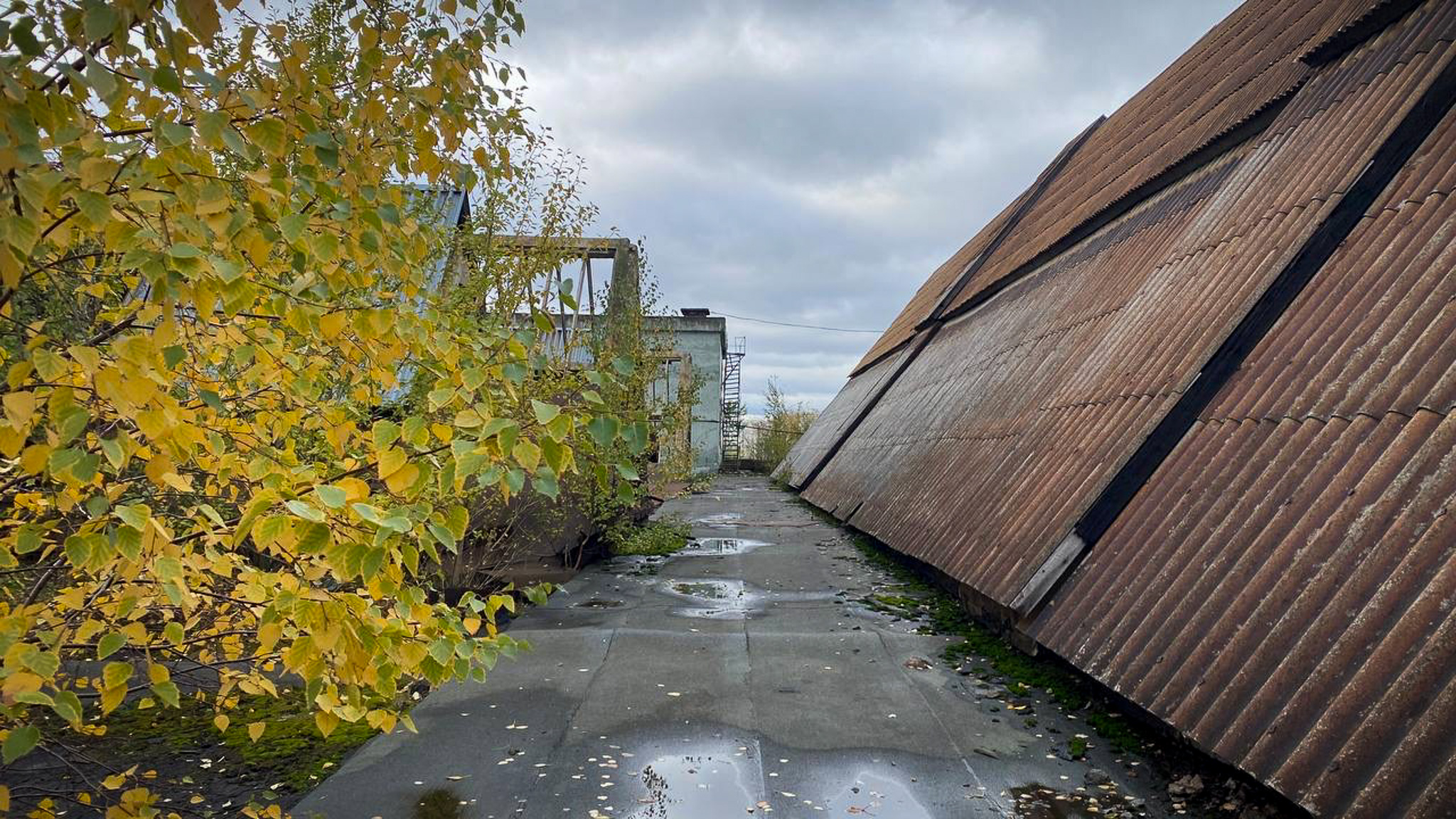 Фотография объекта