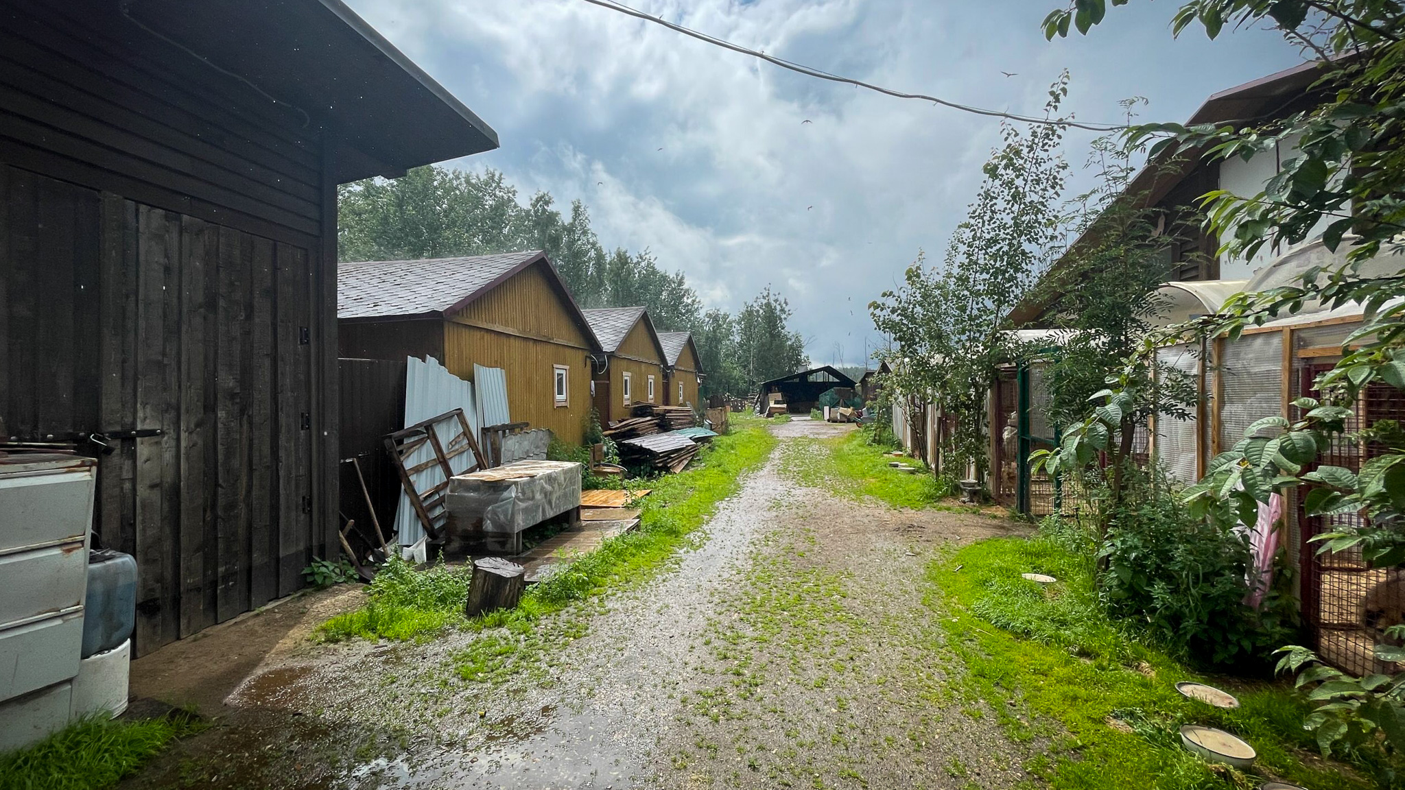 Фотография объекта