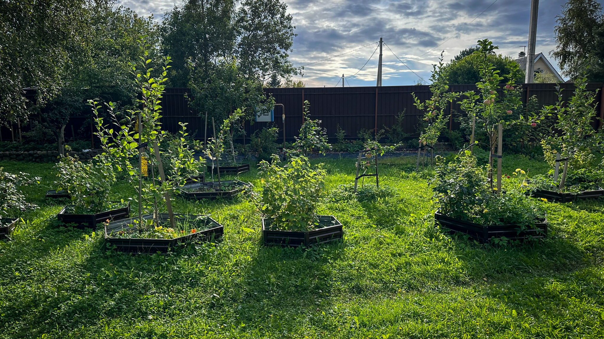 Фотография объекта