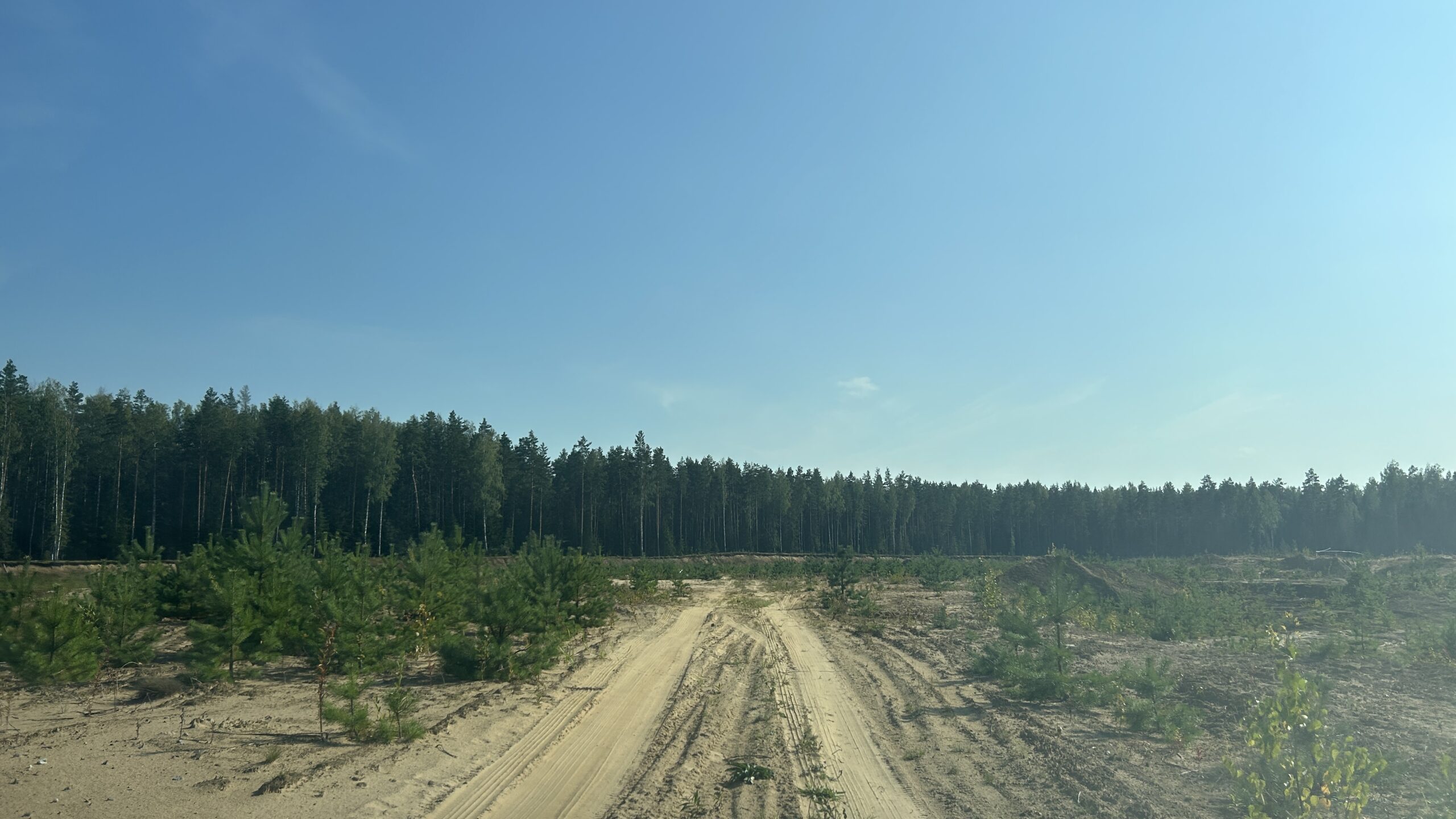 Фотография объекта