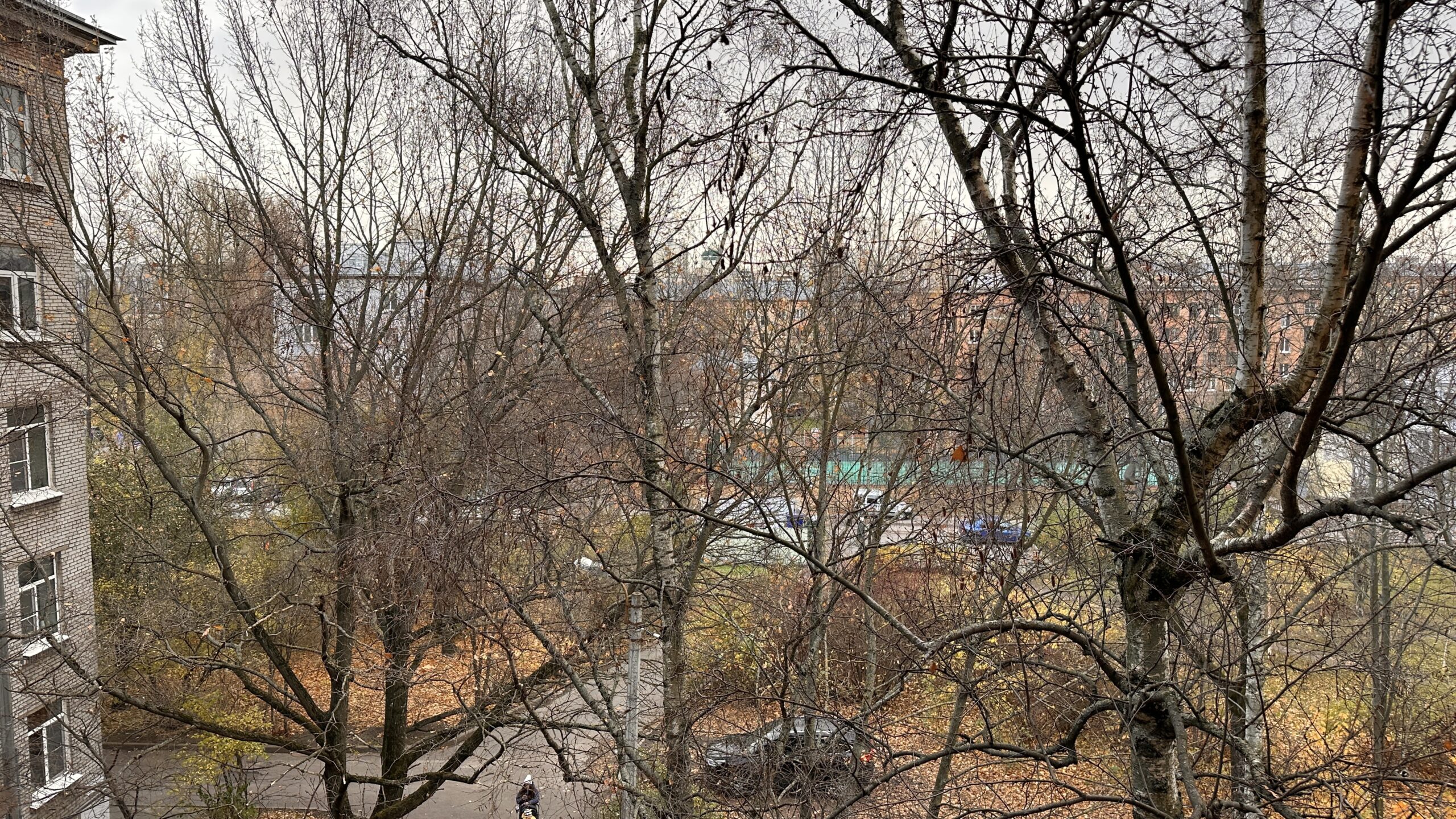 Фотография объекта