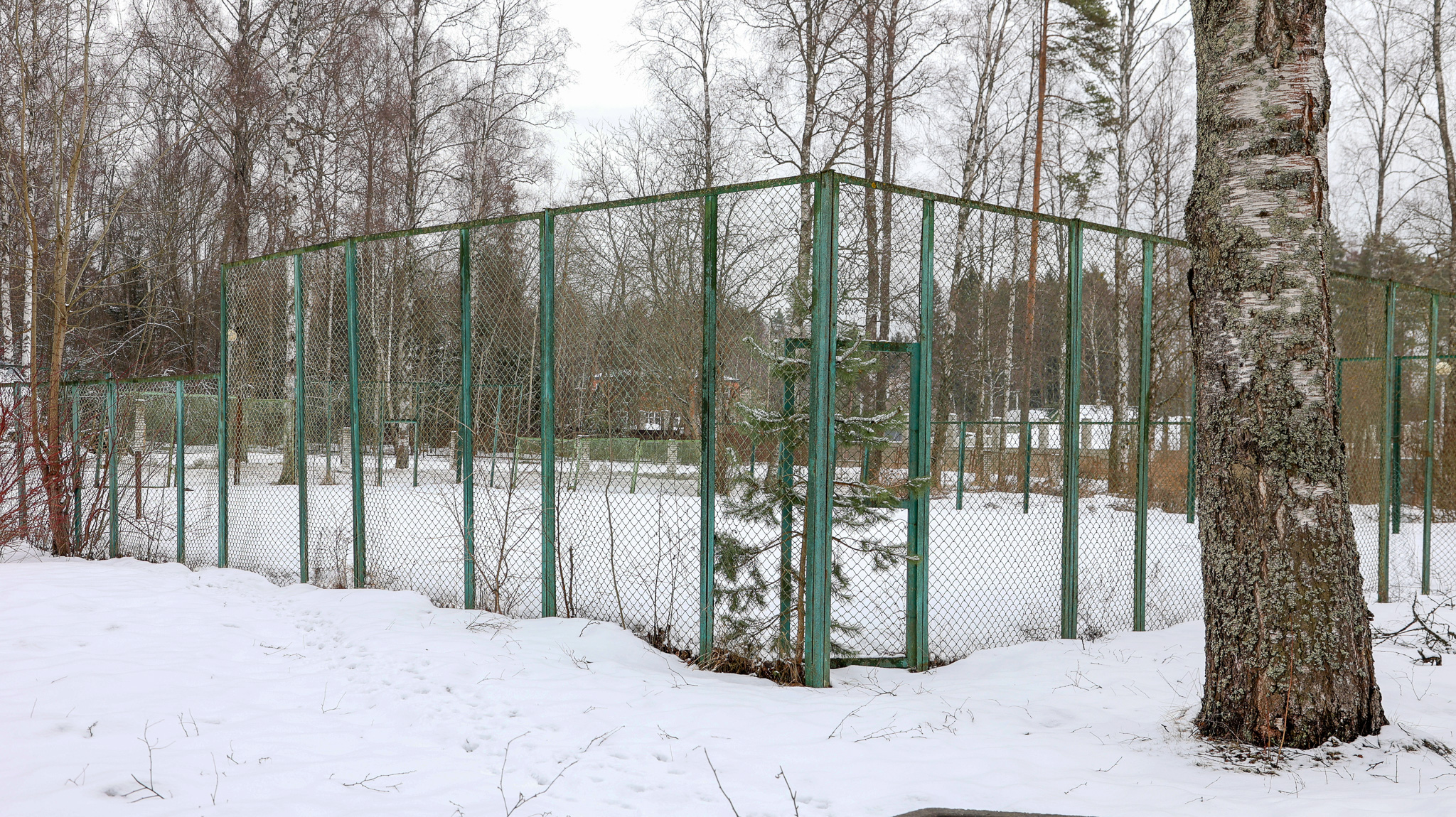 Фотография объекта