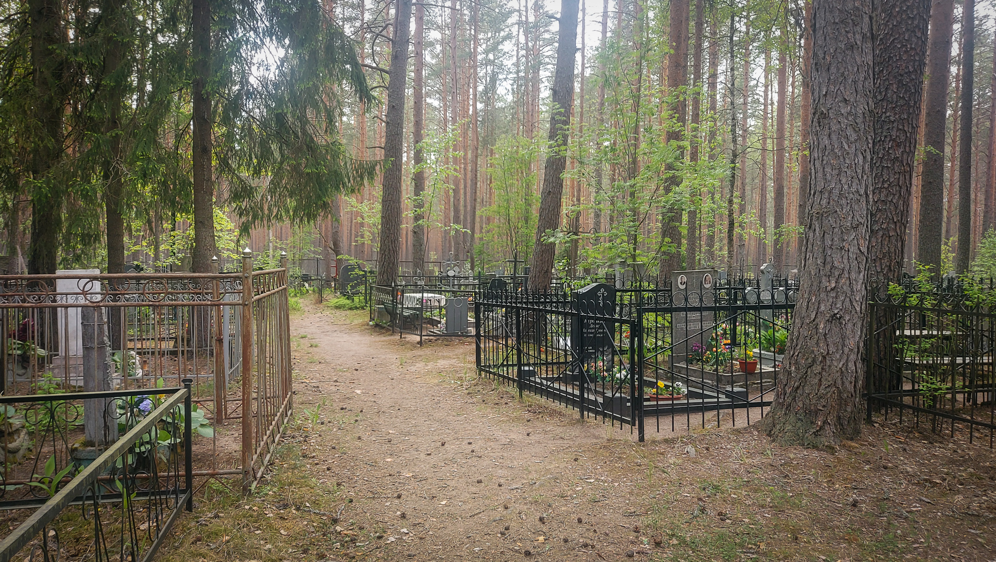 Фотография объекта