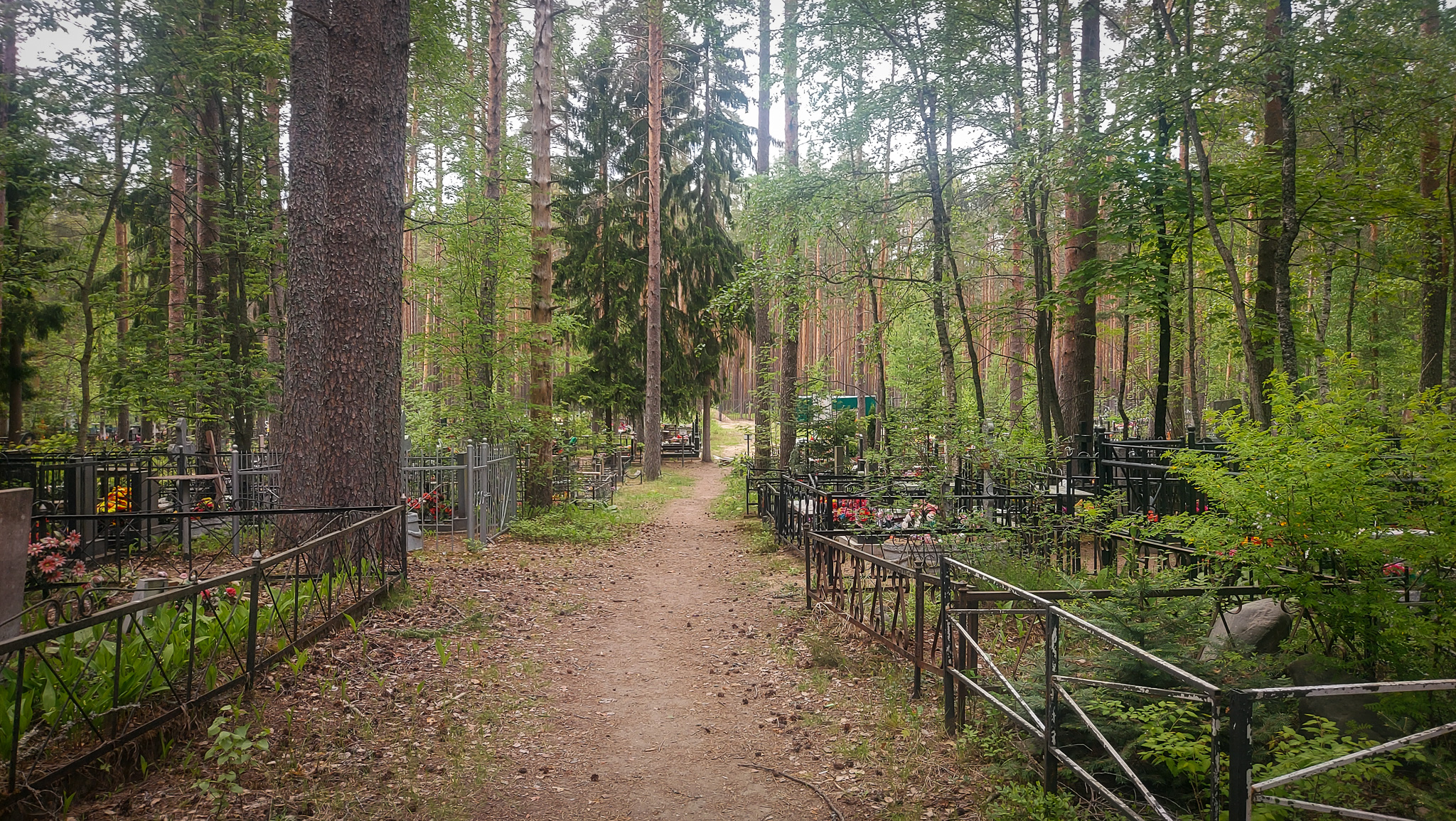 Фотография объекта