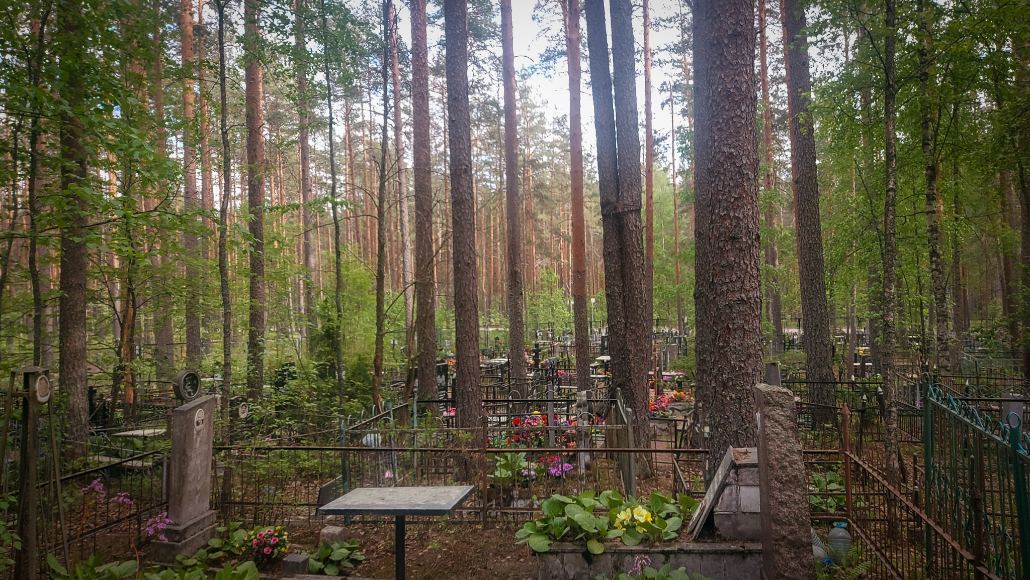 Фотография объекта