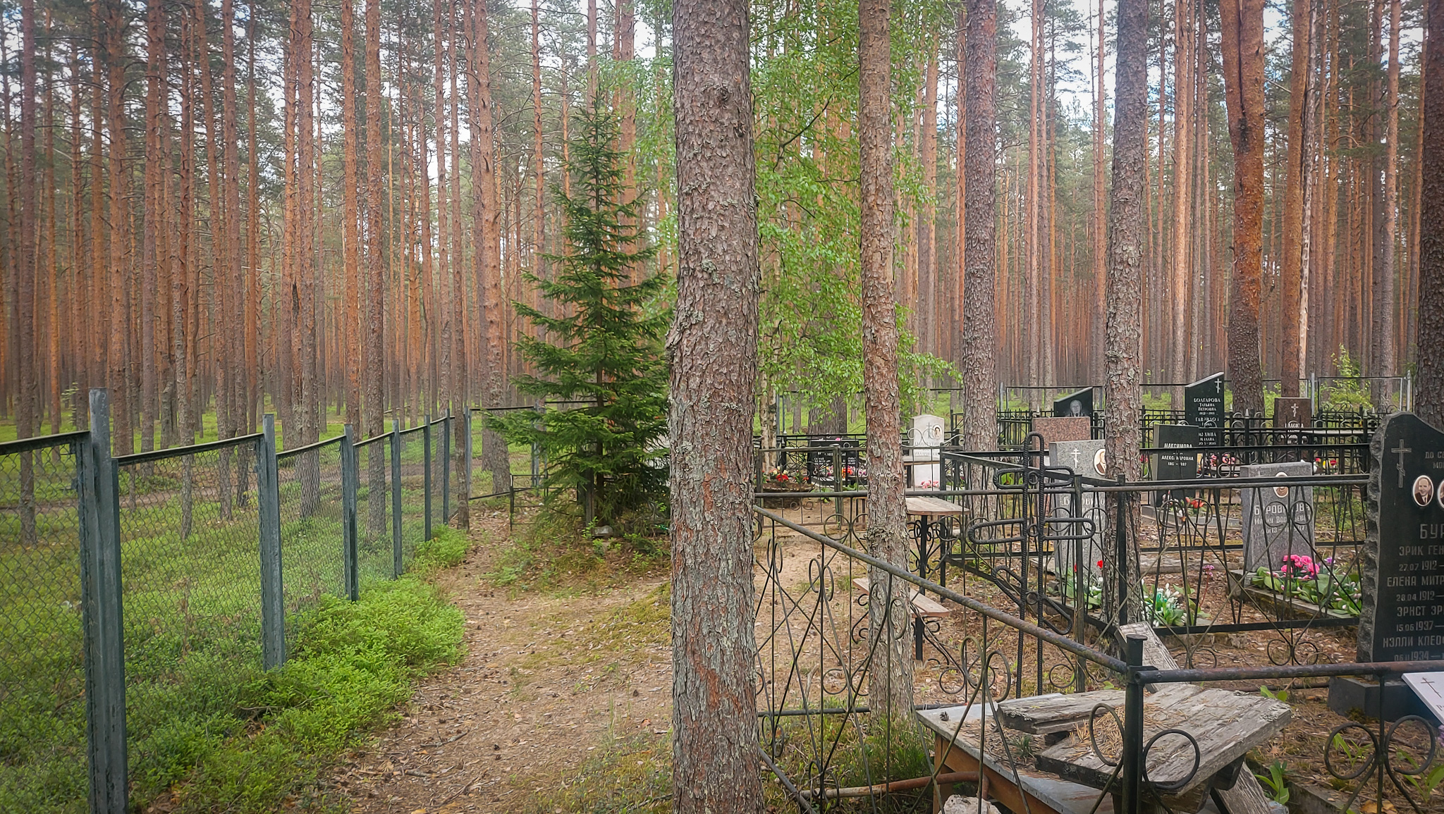 Фотография объекта