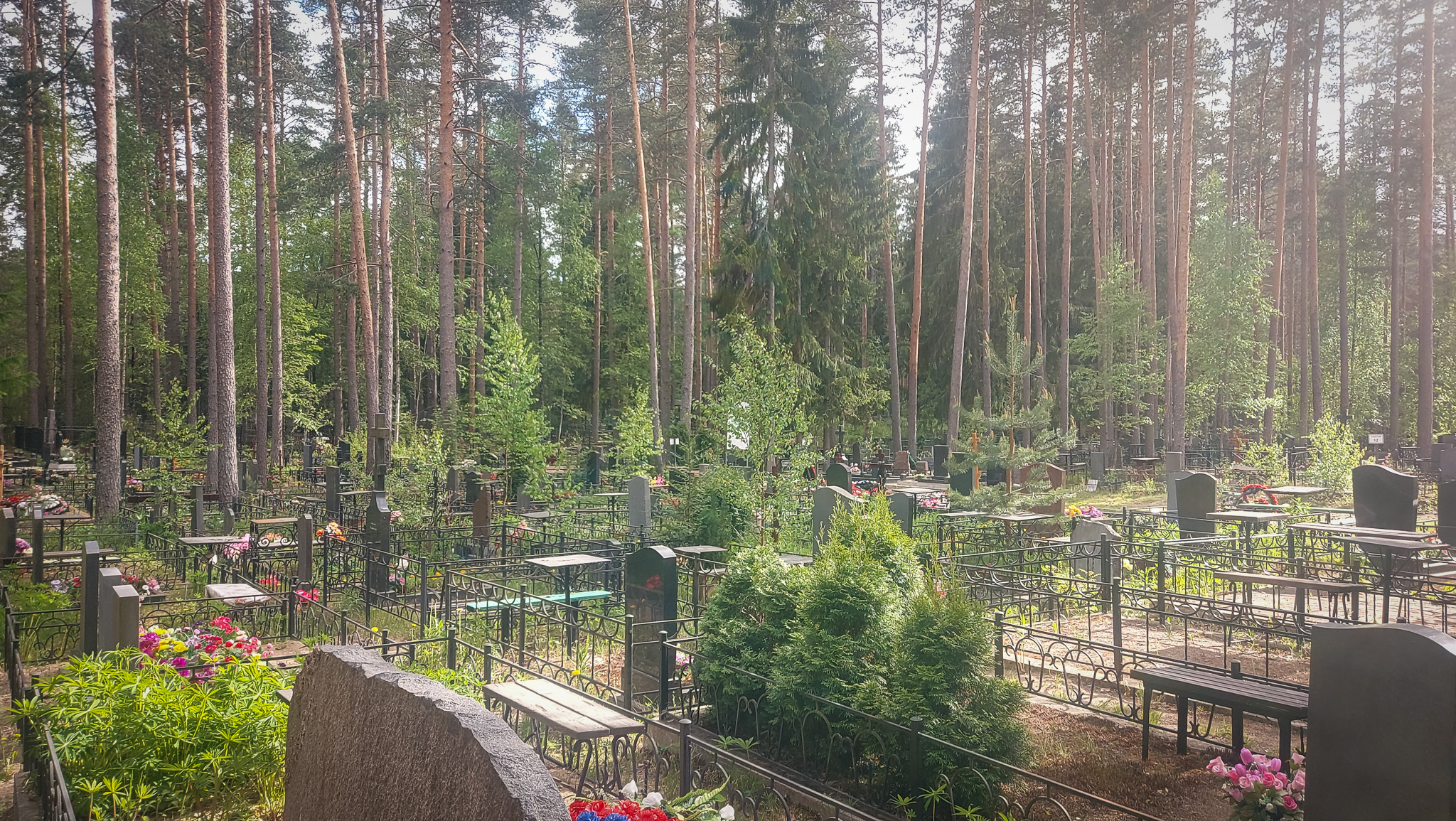 Фотография объекта