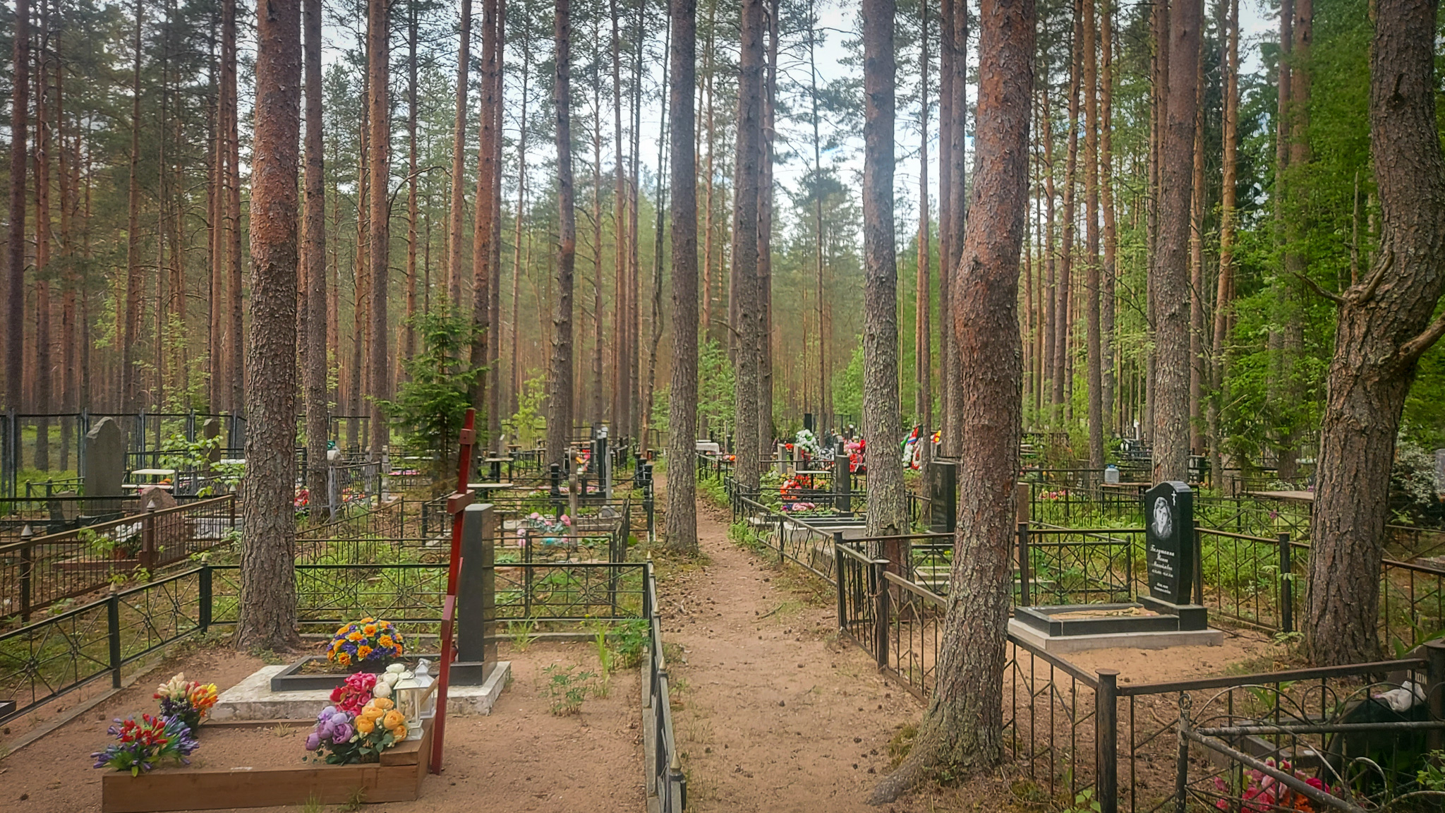 Фотография объекта