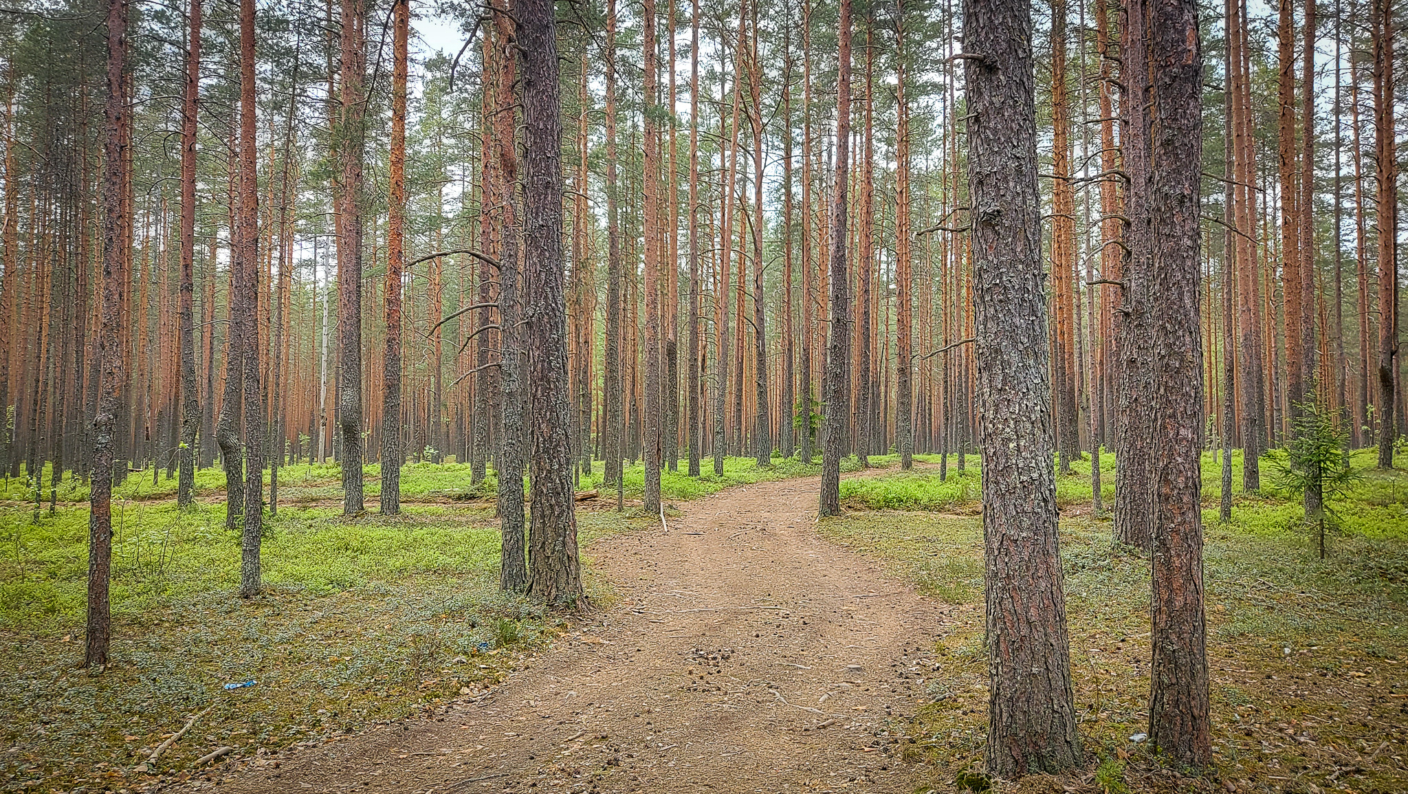 Фотография объекта