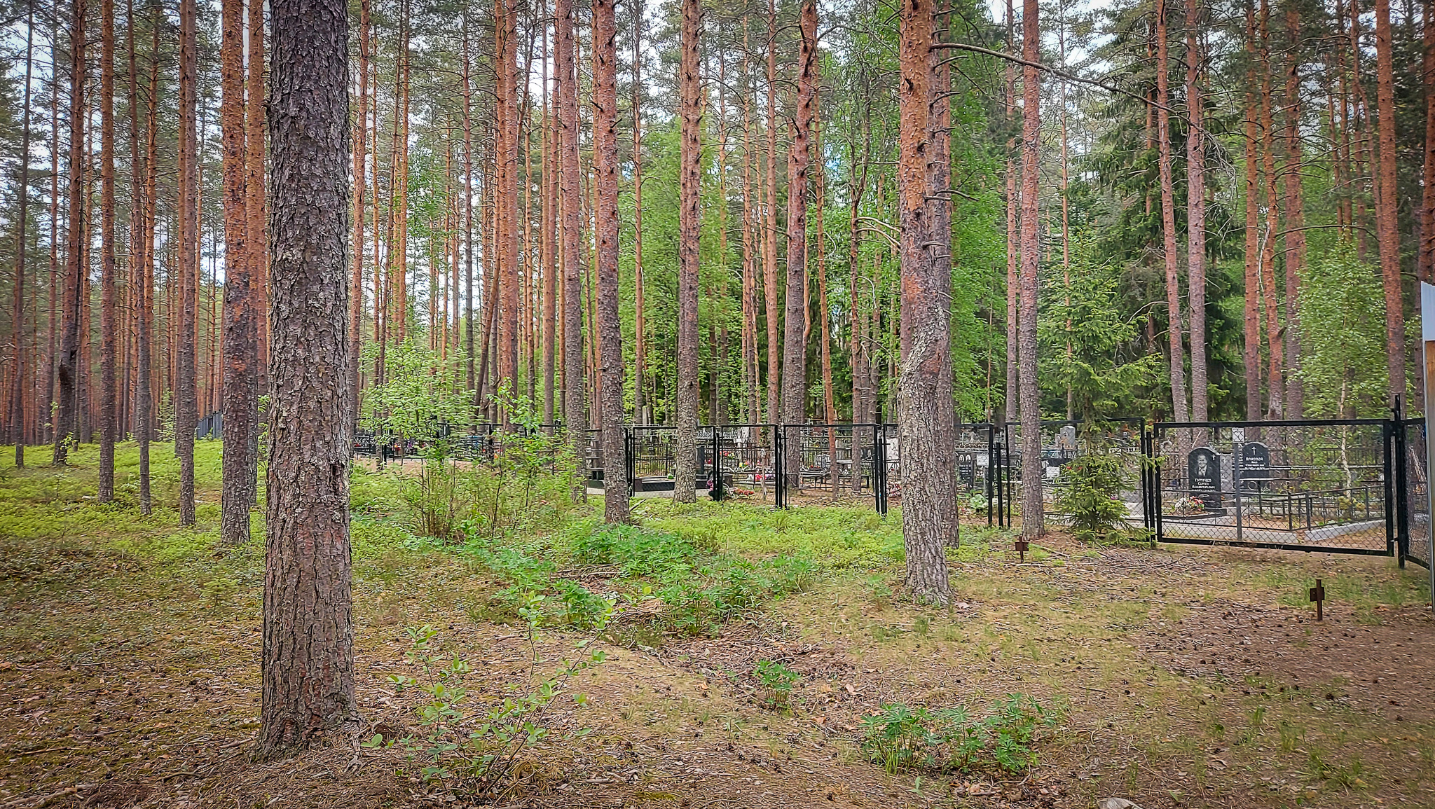 Фотография объекта