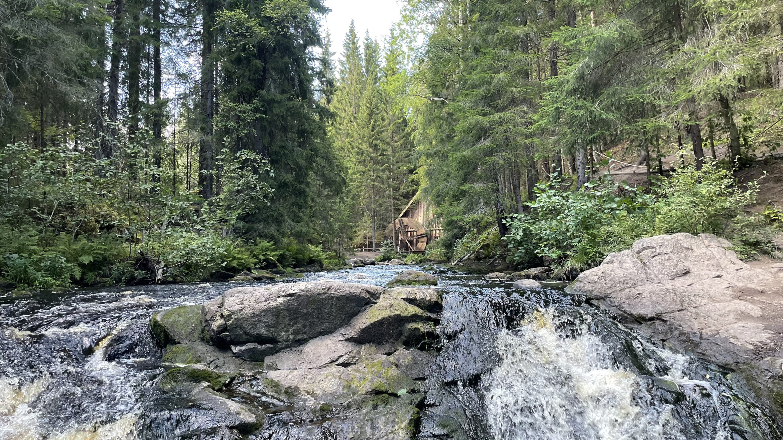 Фотография объекта