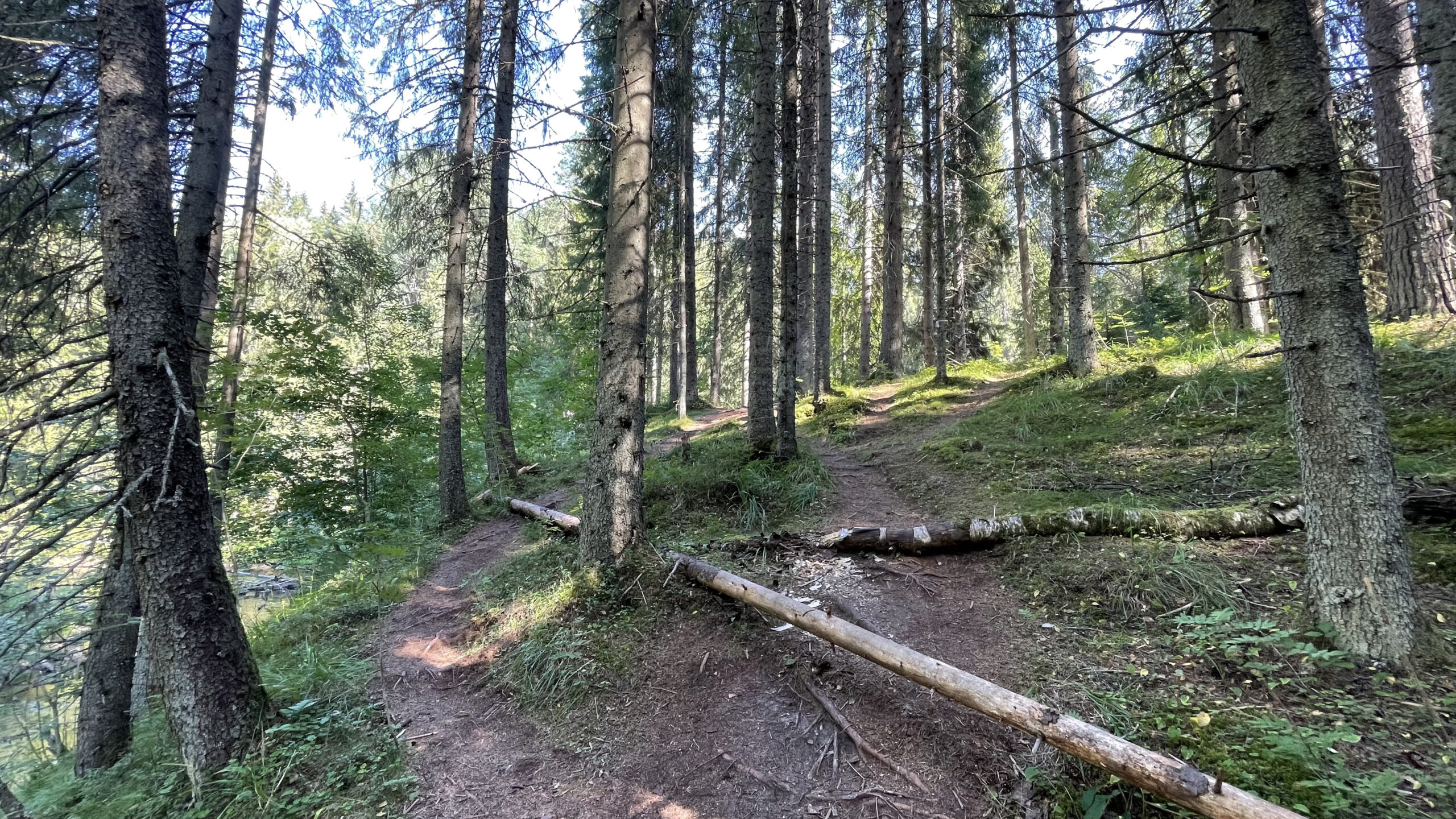 Фотография объекта