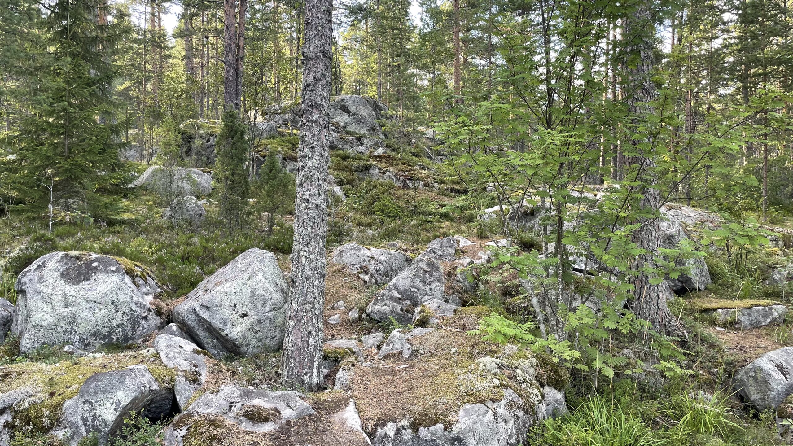 Фотография объекта