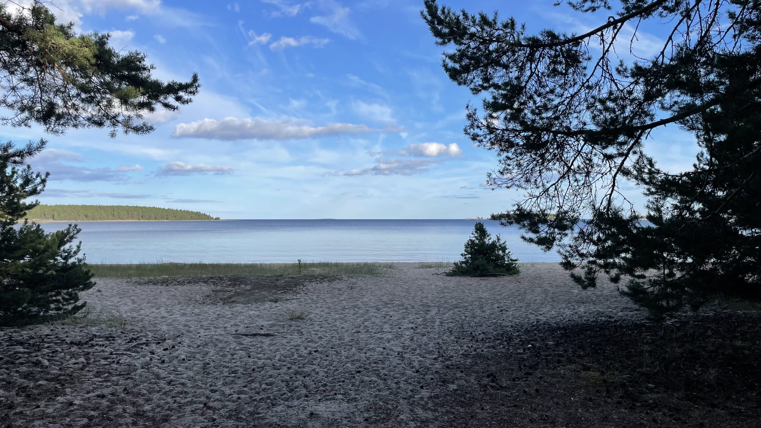 Фотография объекта