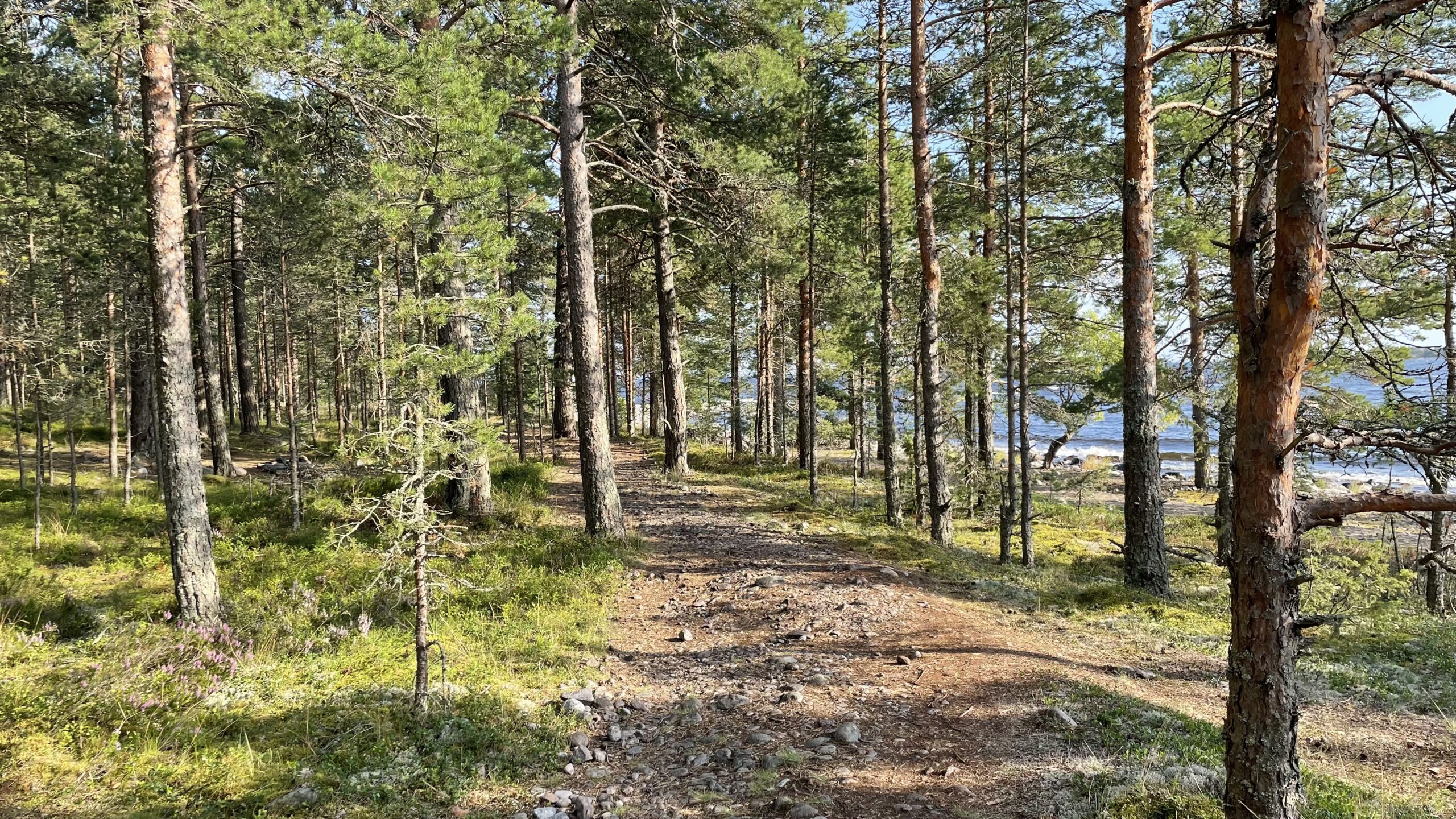 Фотография объекта