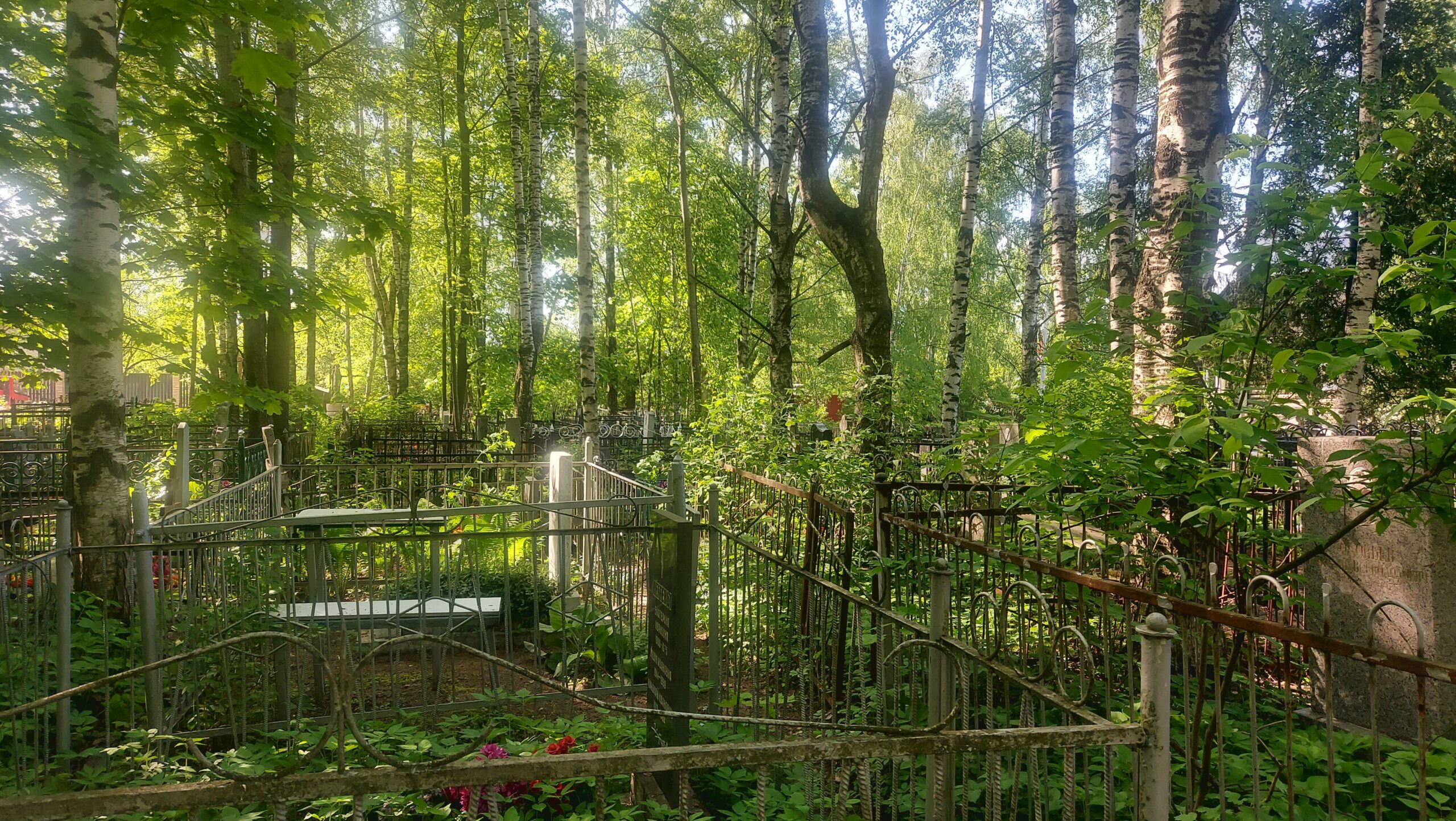 Фотография объекта