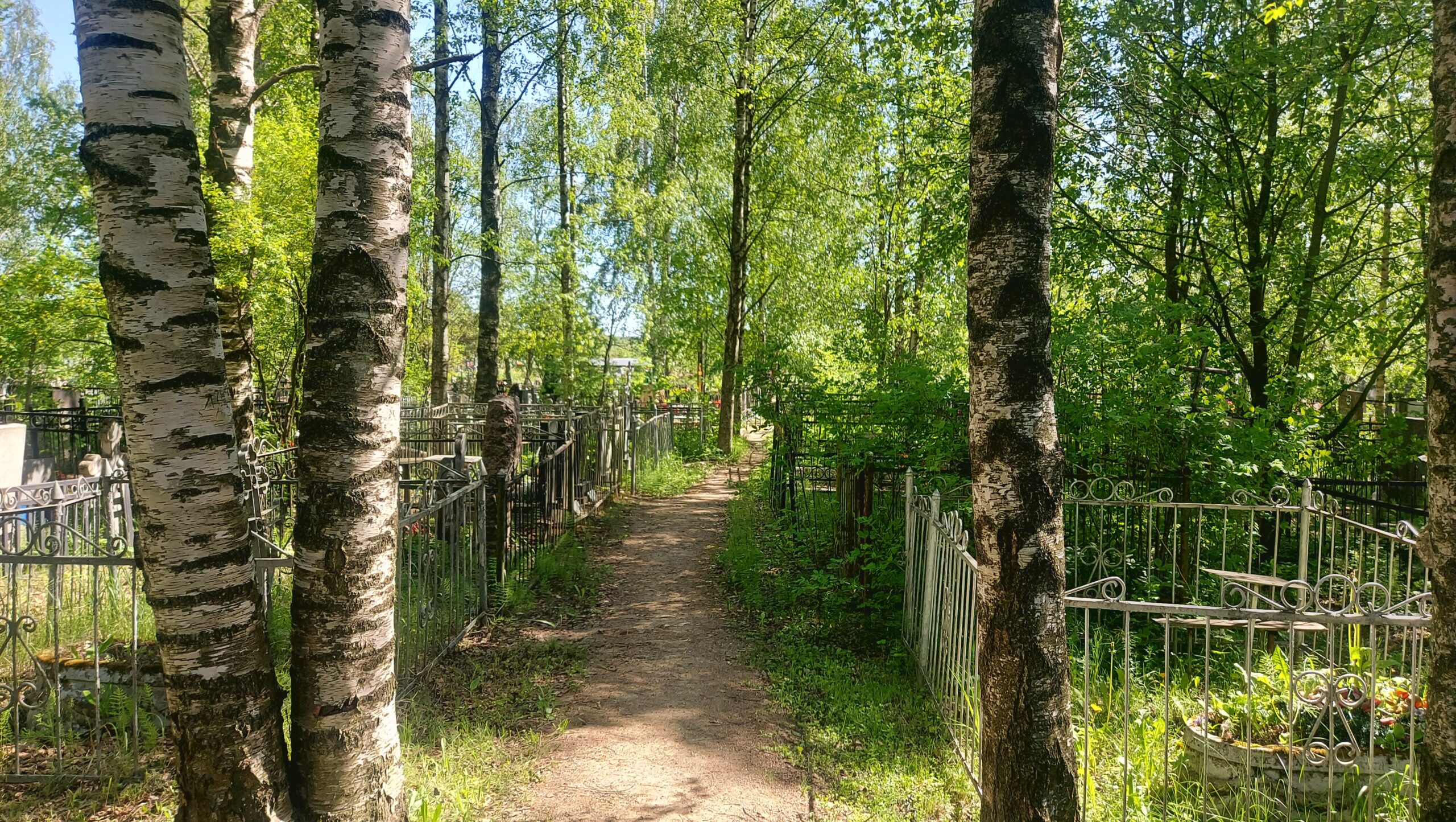 Фотография объекта