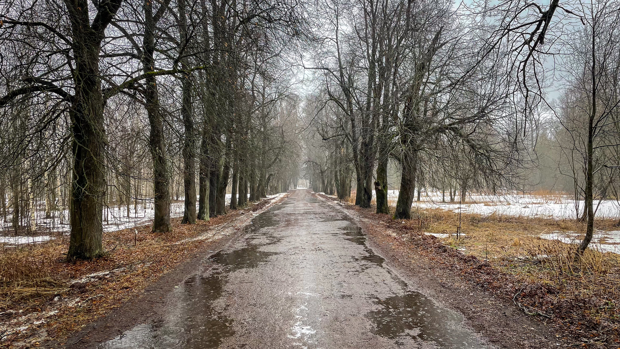 Фотография объекта