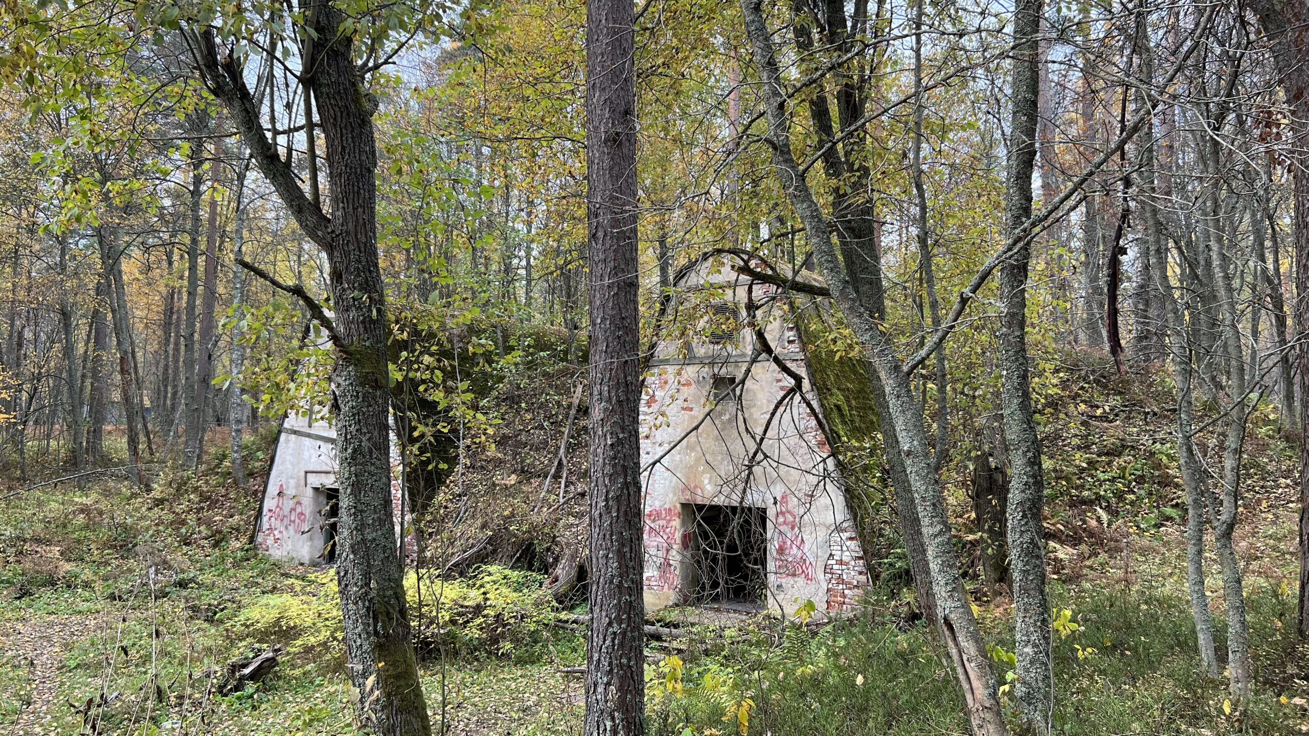 Фотография объекта