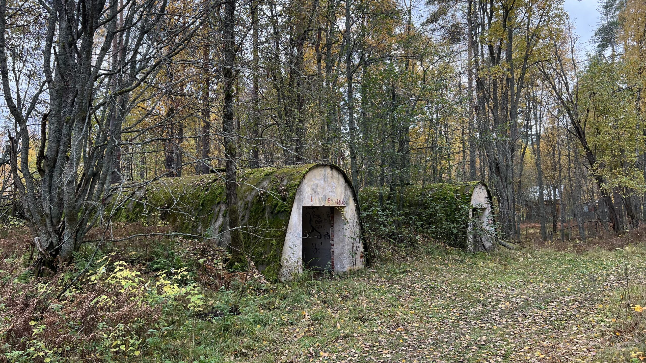 Фотография объекта