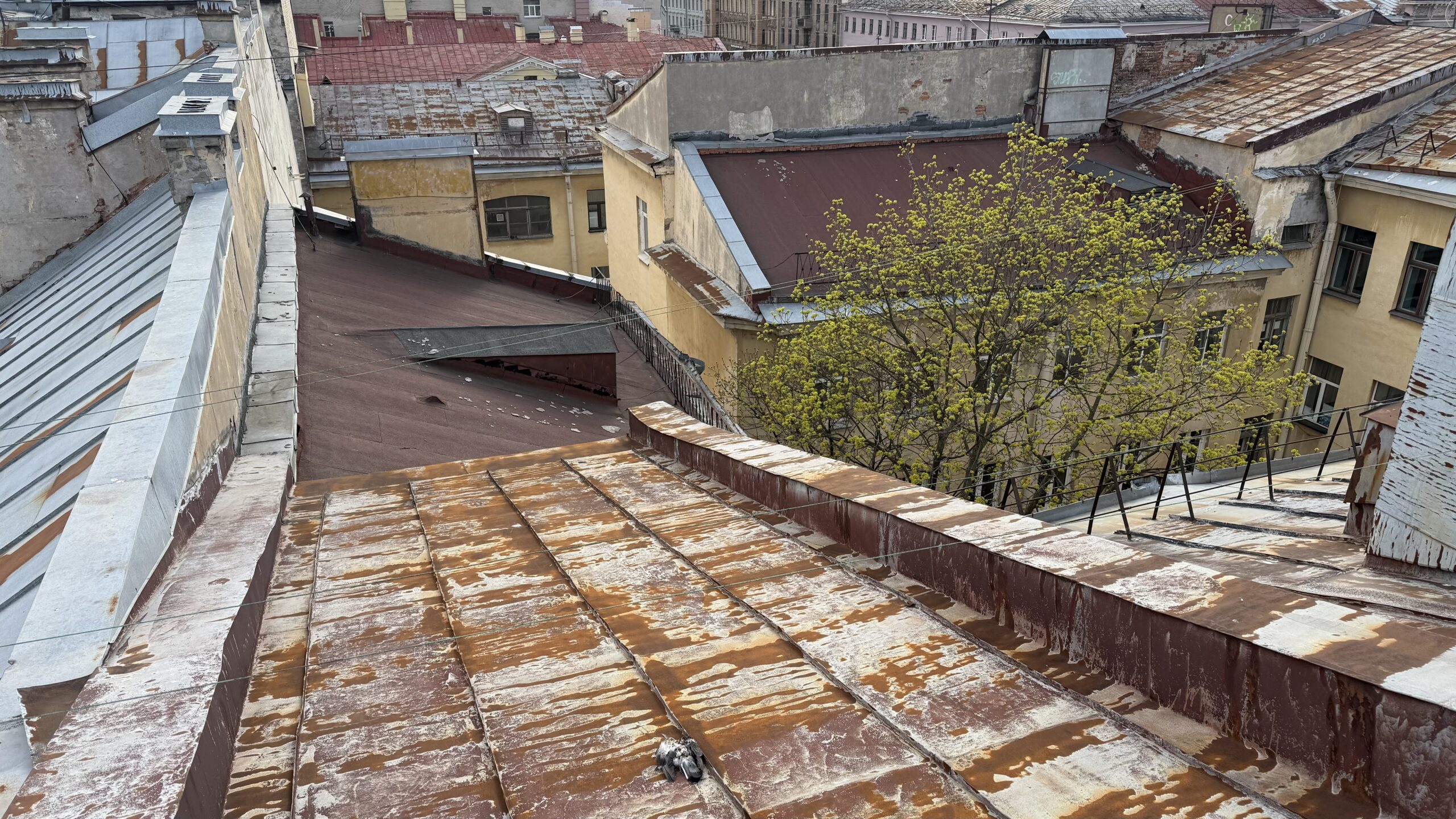 Фотография объекта