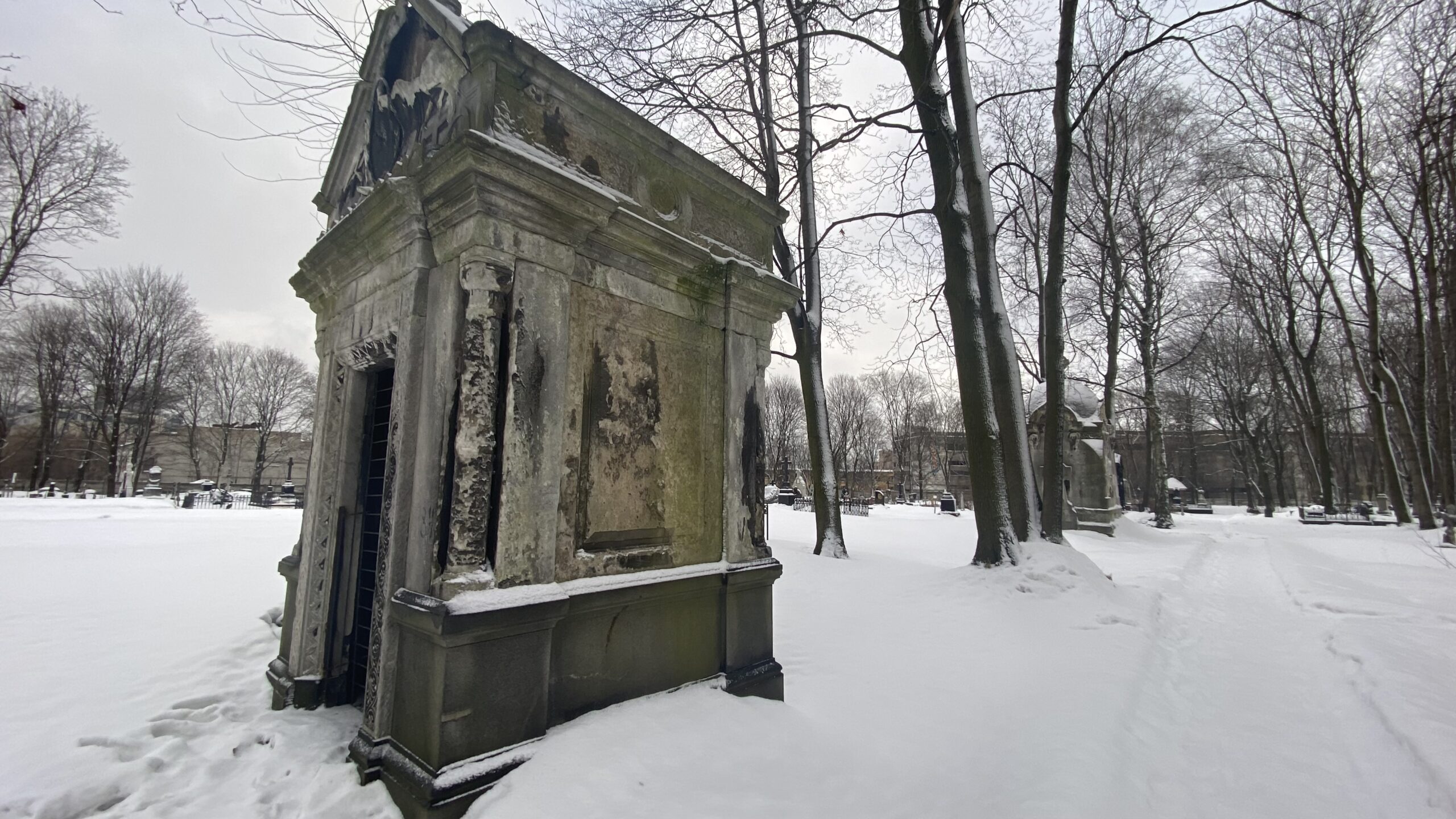 Фотография объекта