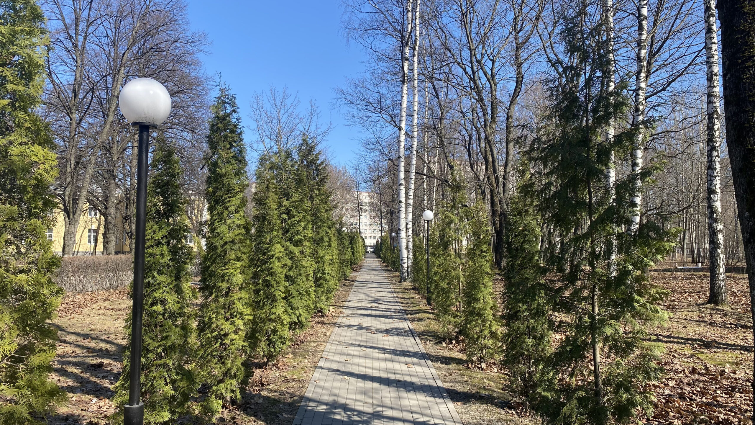 Фотография объекта