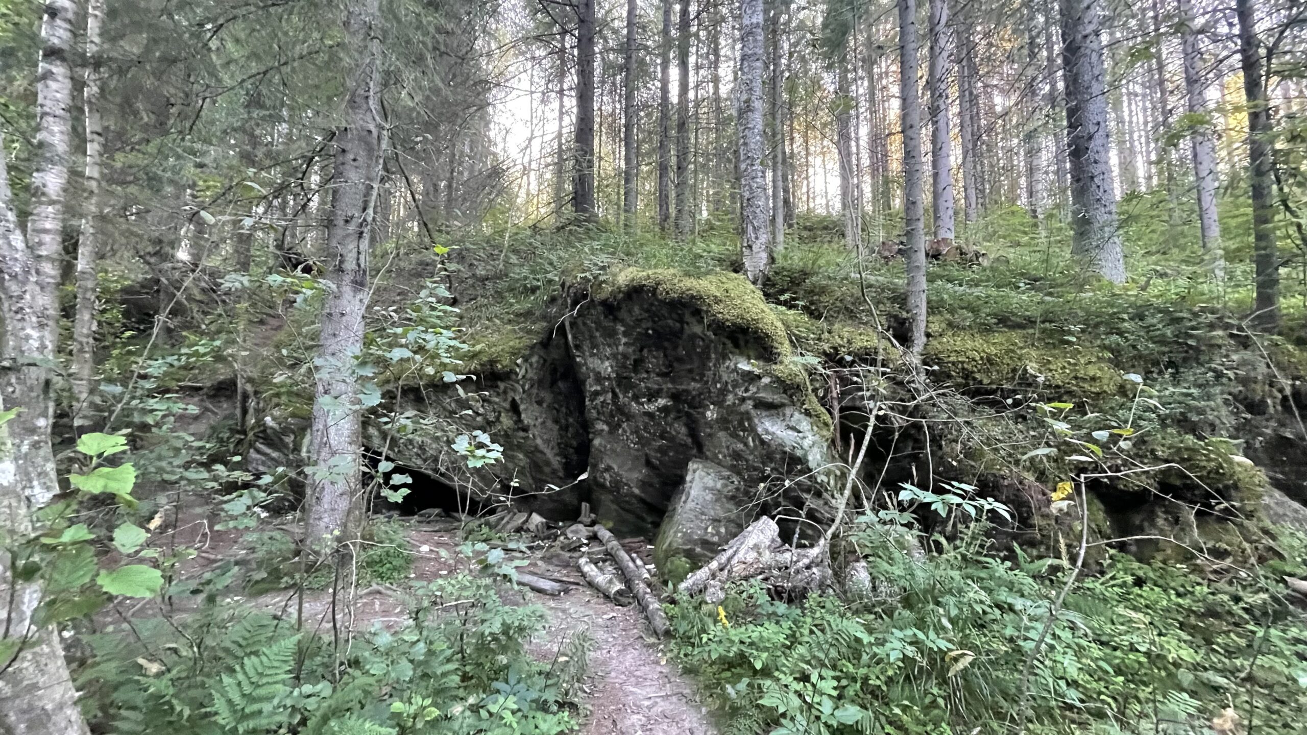 Фотография объекта
