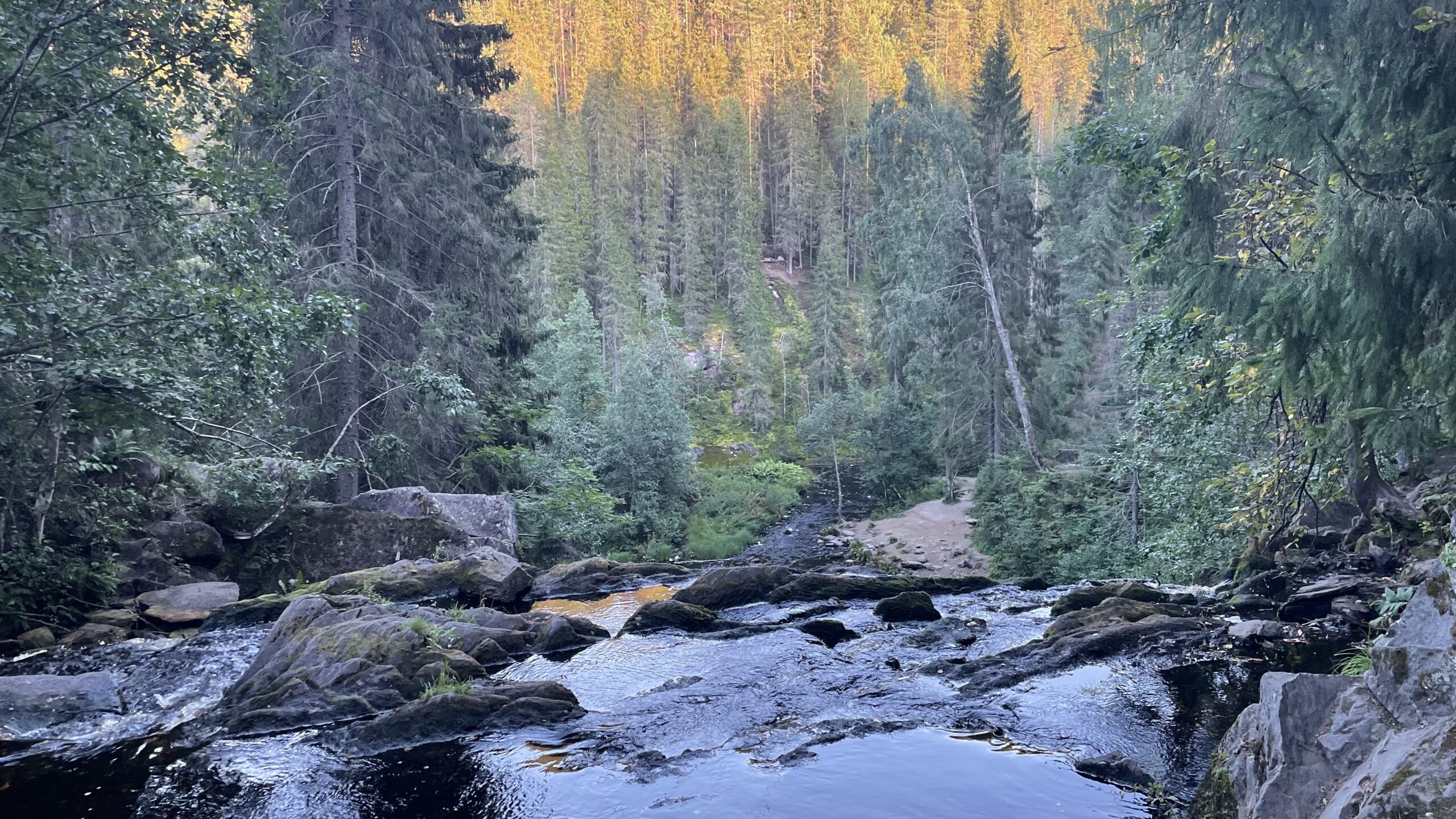 Фотография объекта