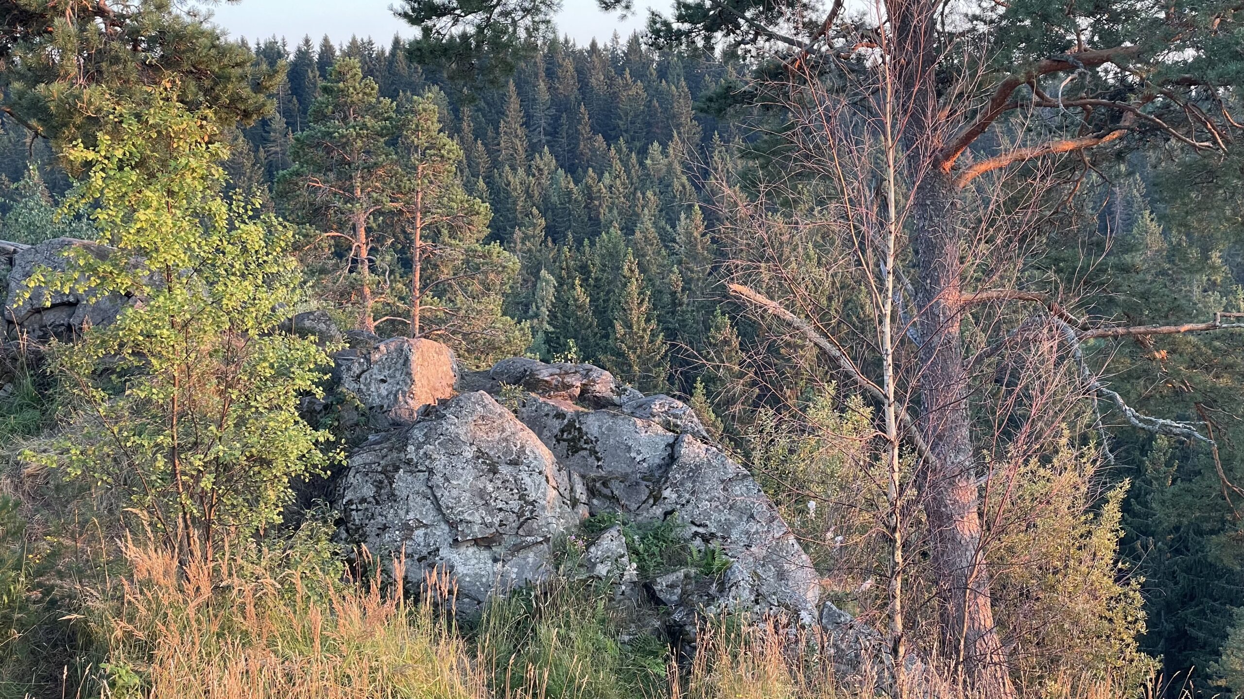 Фотография объекта