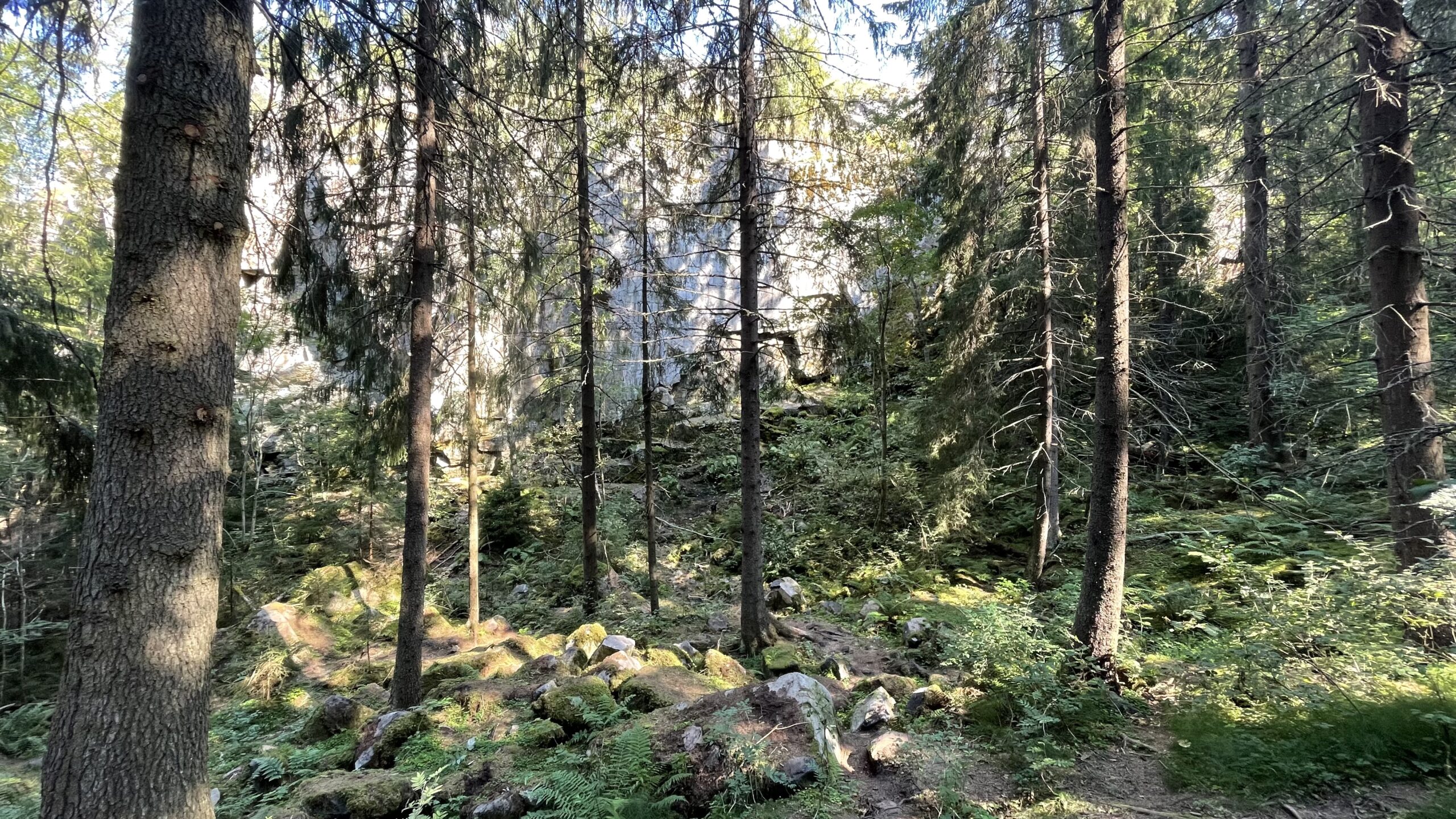 Фотография объекта
