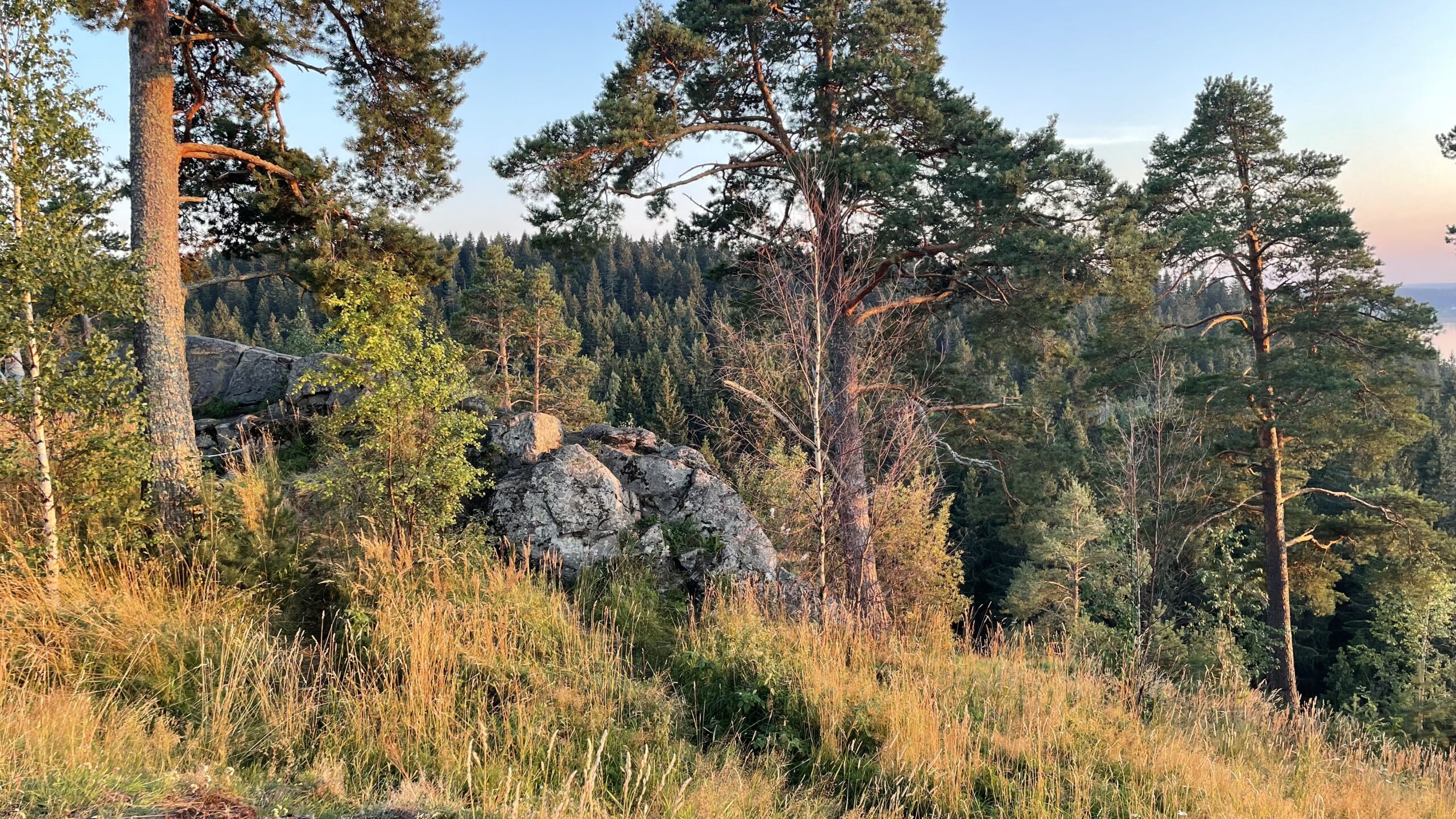 Фотография объекта
