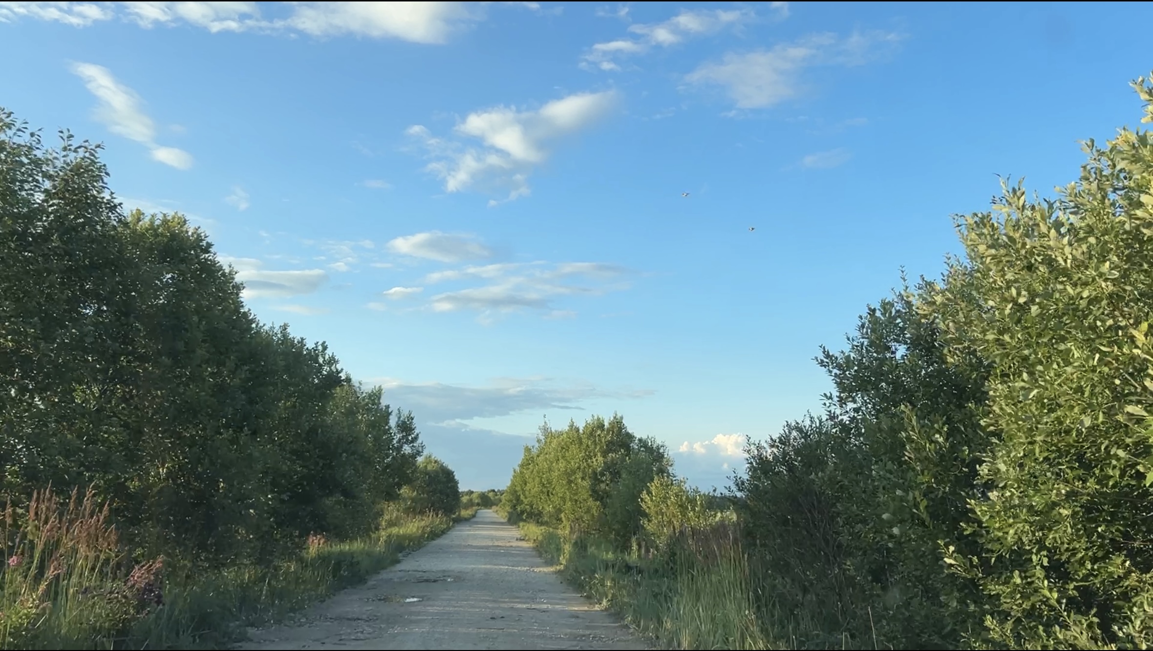Фотография объекта