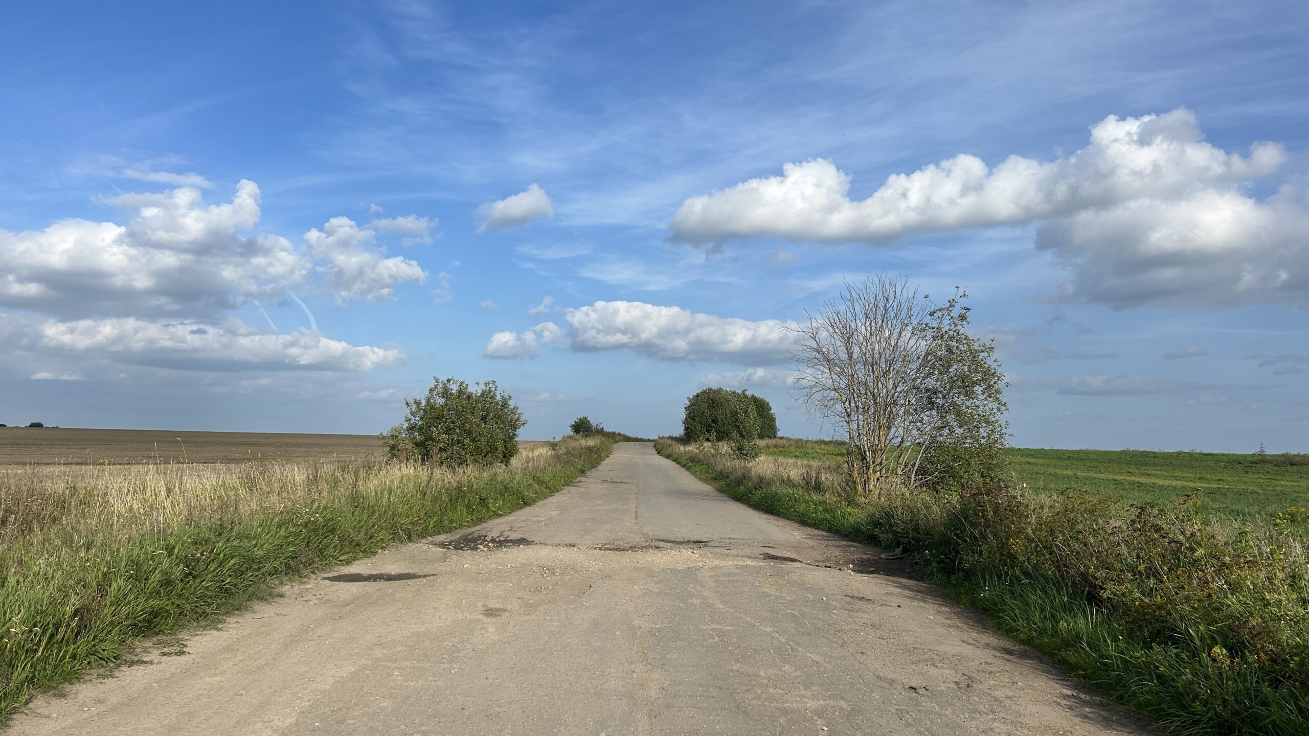 Фотография объекта
