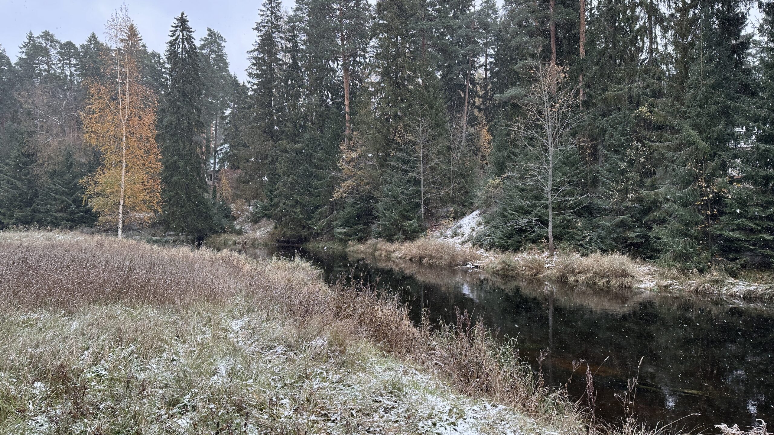 Фотография объекта