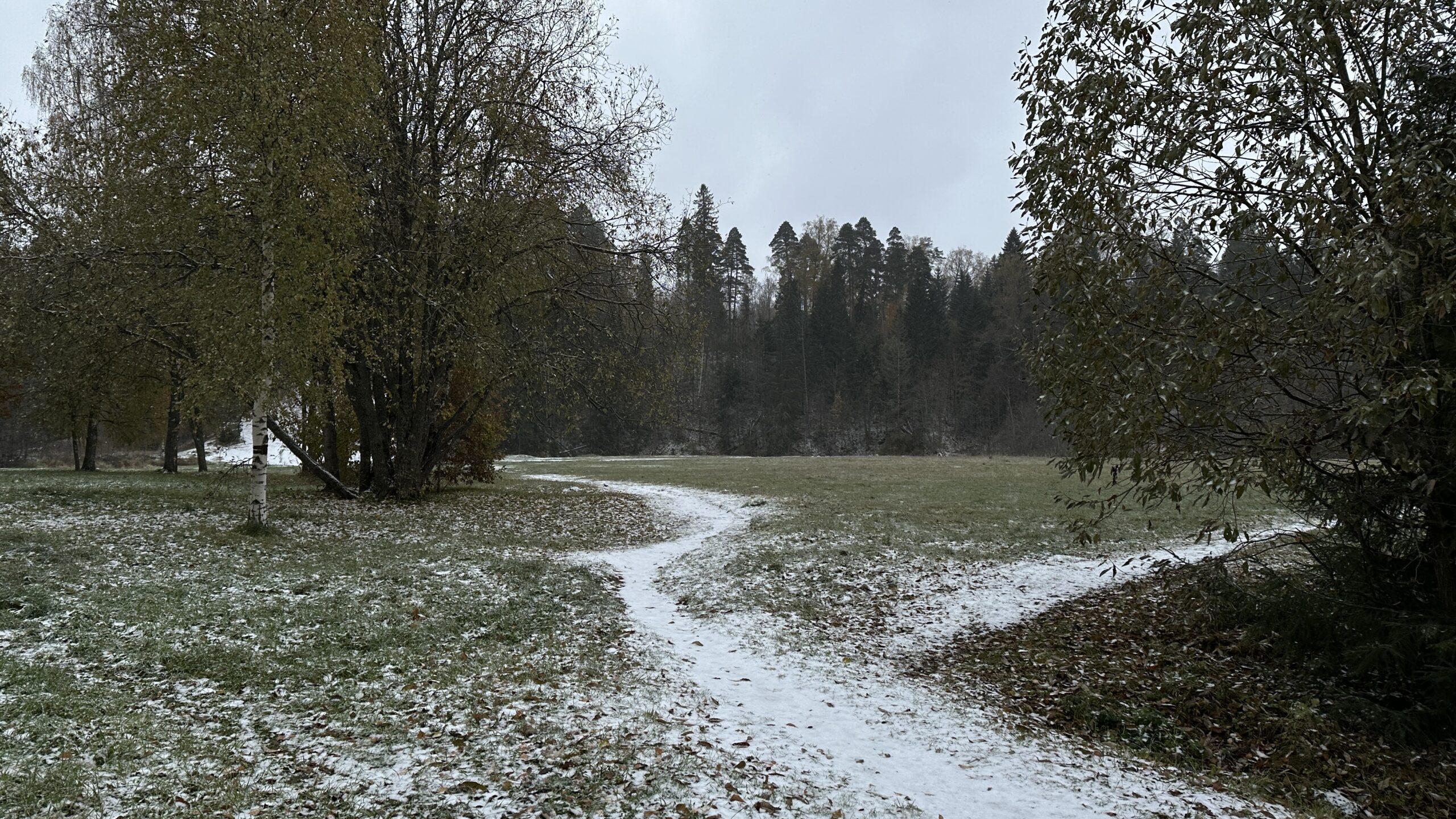 Фотография объекта
