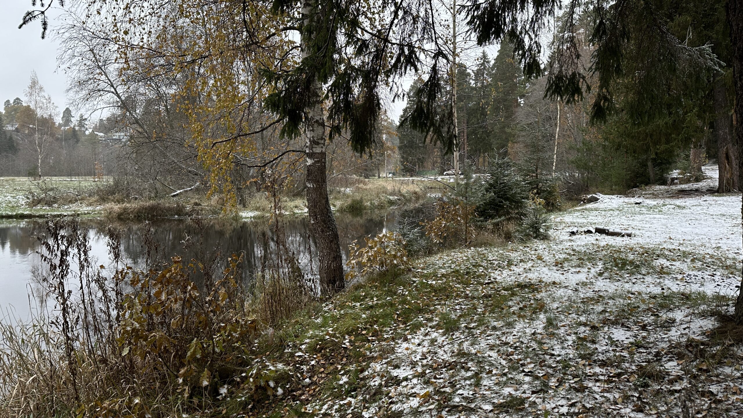 Фотография объекта