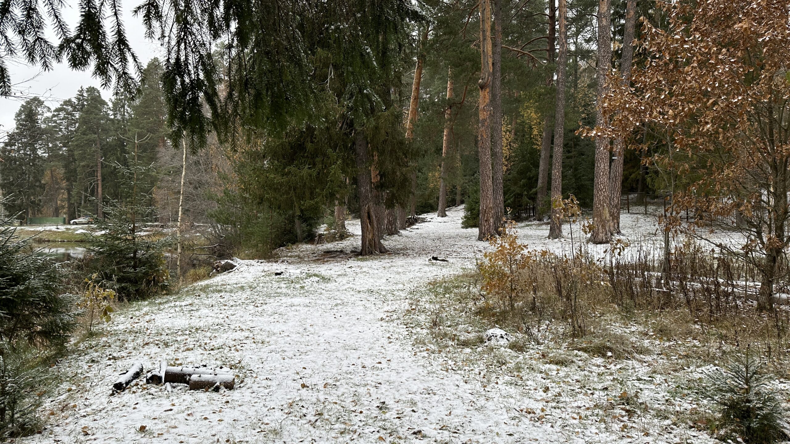 Фотография объекта