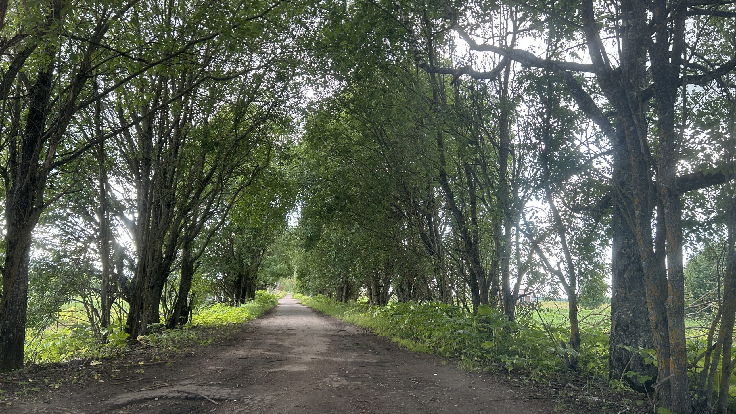 Фотография объекта